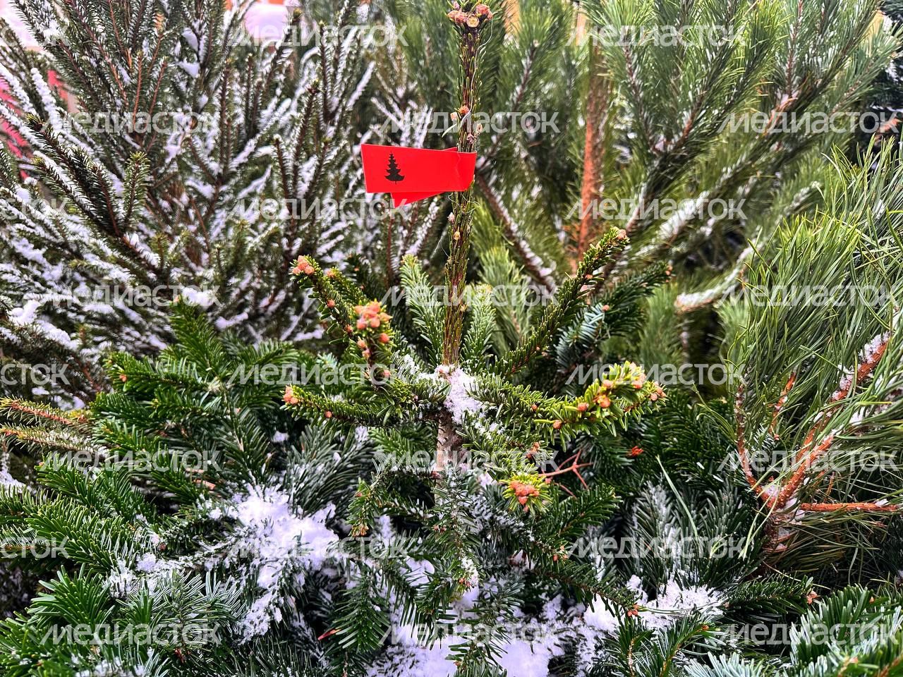 IMAGE 2023-12-15 15:05:37