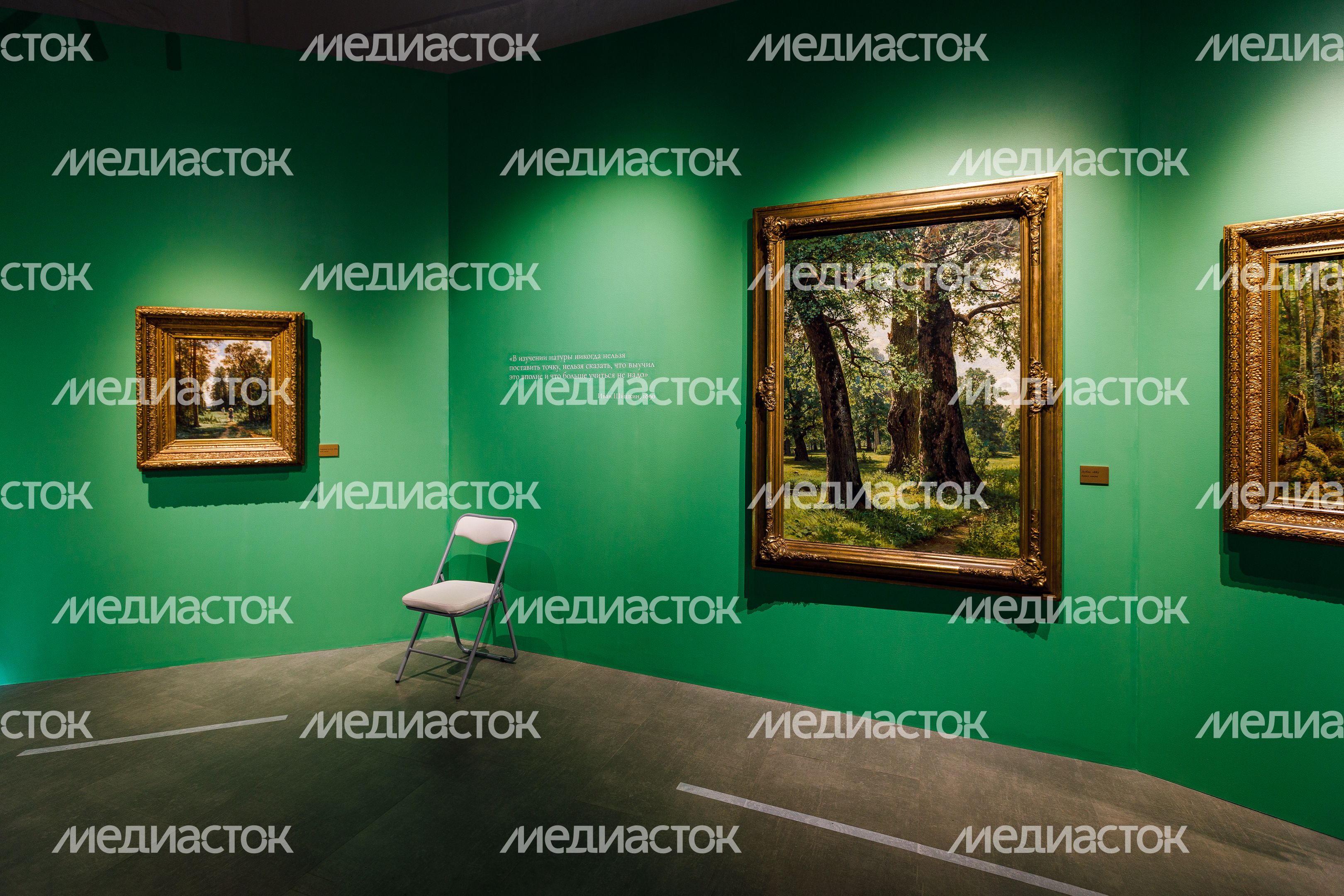 Крупнейшая выставка работ художника Ивана Шишкина в Звенигороде Крупнейшая выставка работ художника Ивана Шишкина в Звенигороде
