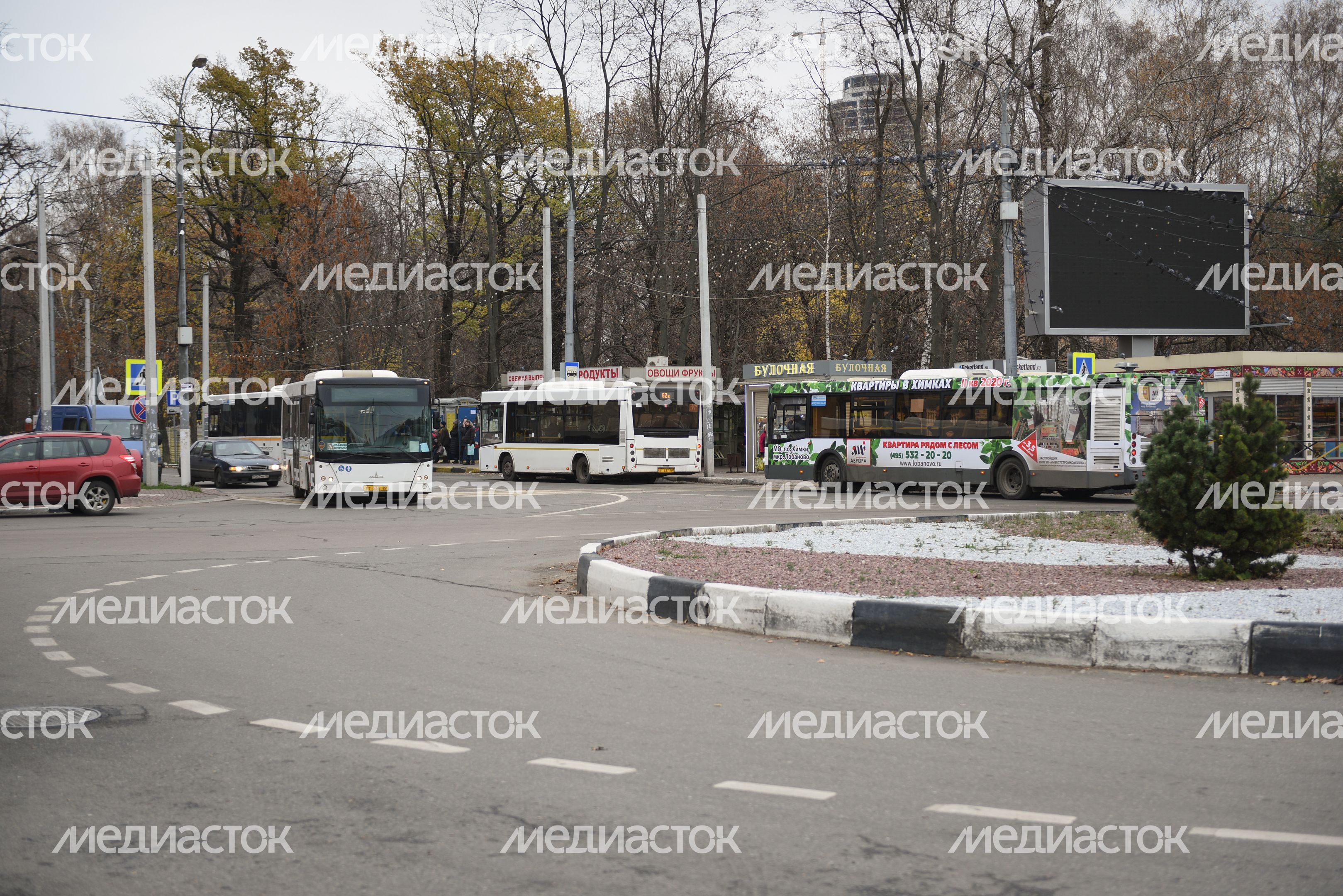 Общественный транспорт в Подмосковье