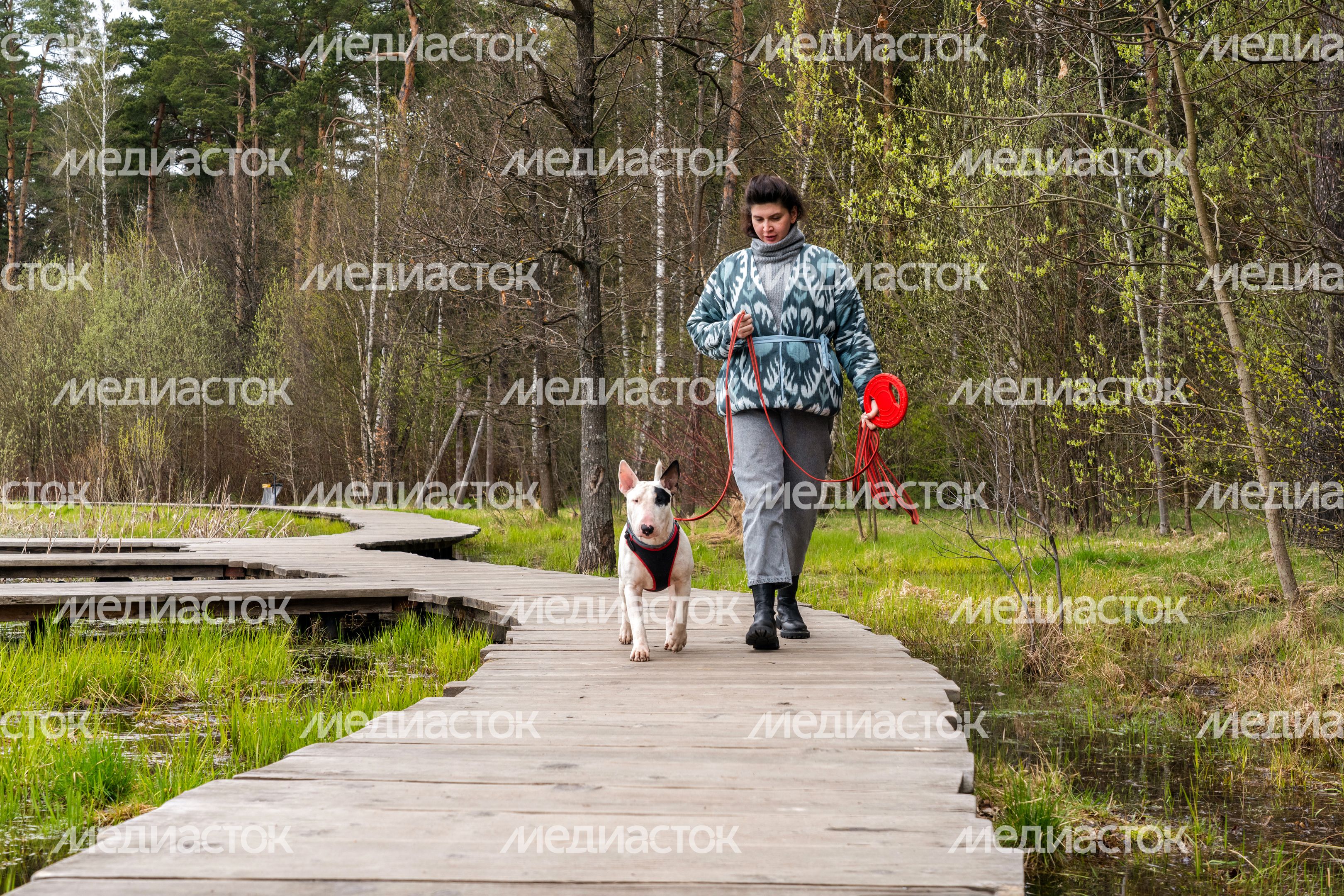 Мещерский парк в Одинцовском округе. Весна