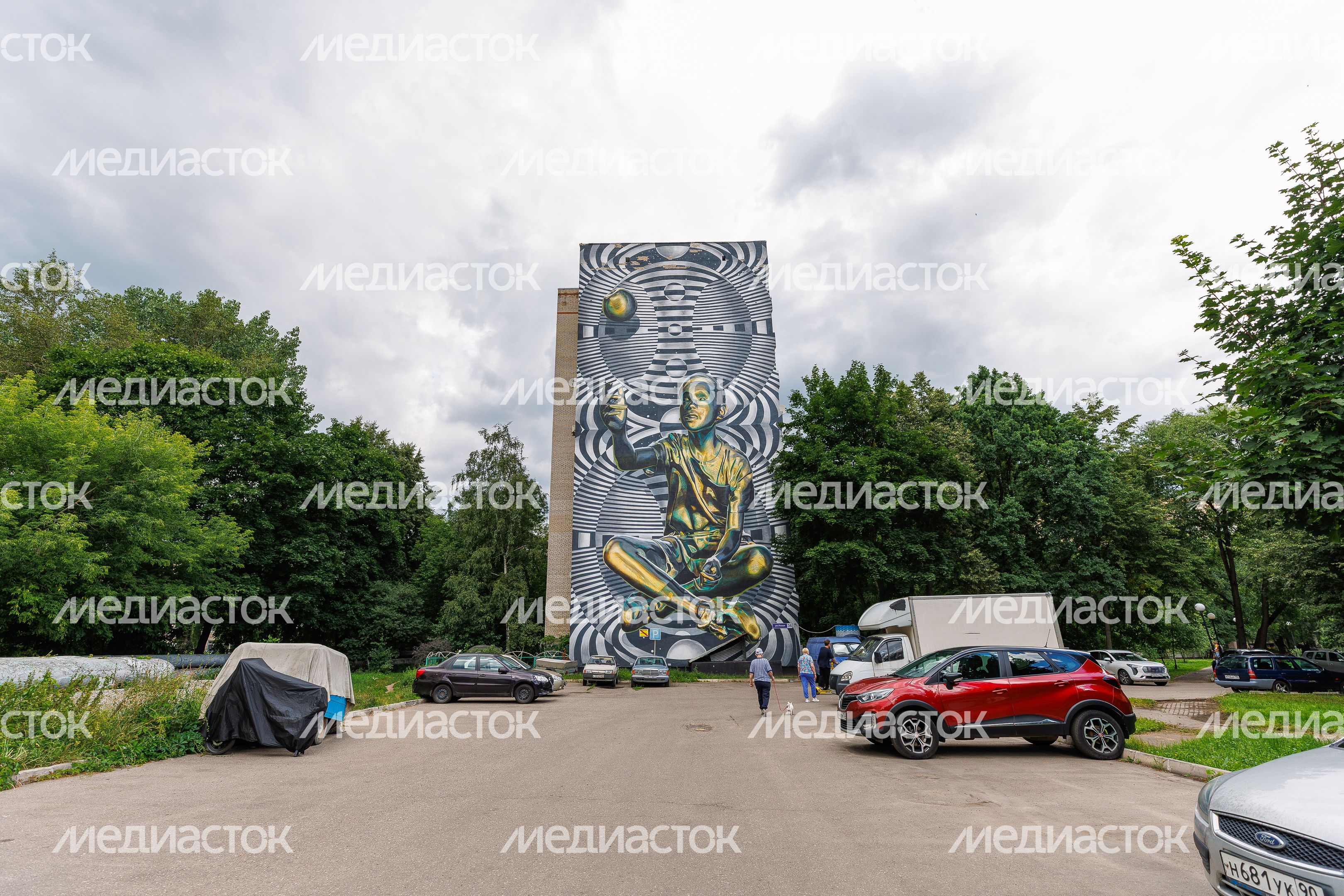 Муралы в Железнодорожном, Балашиха