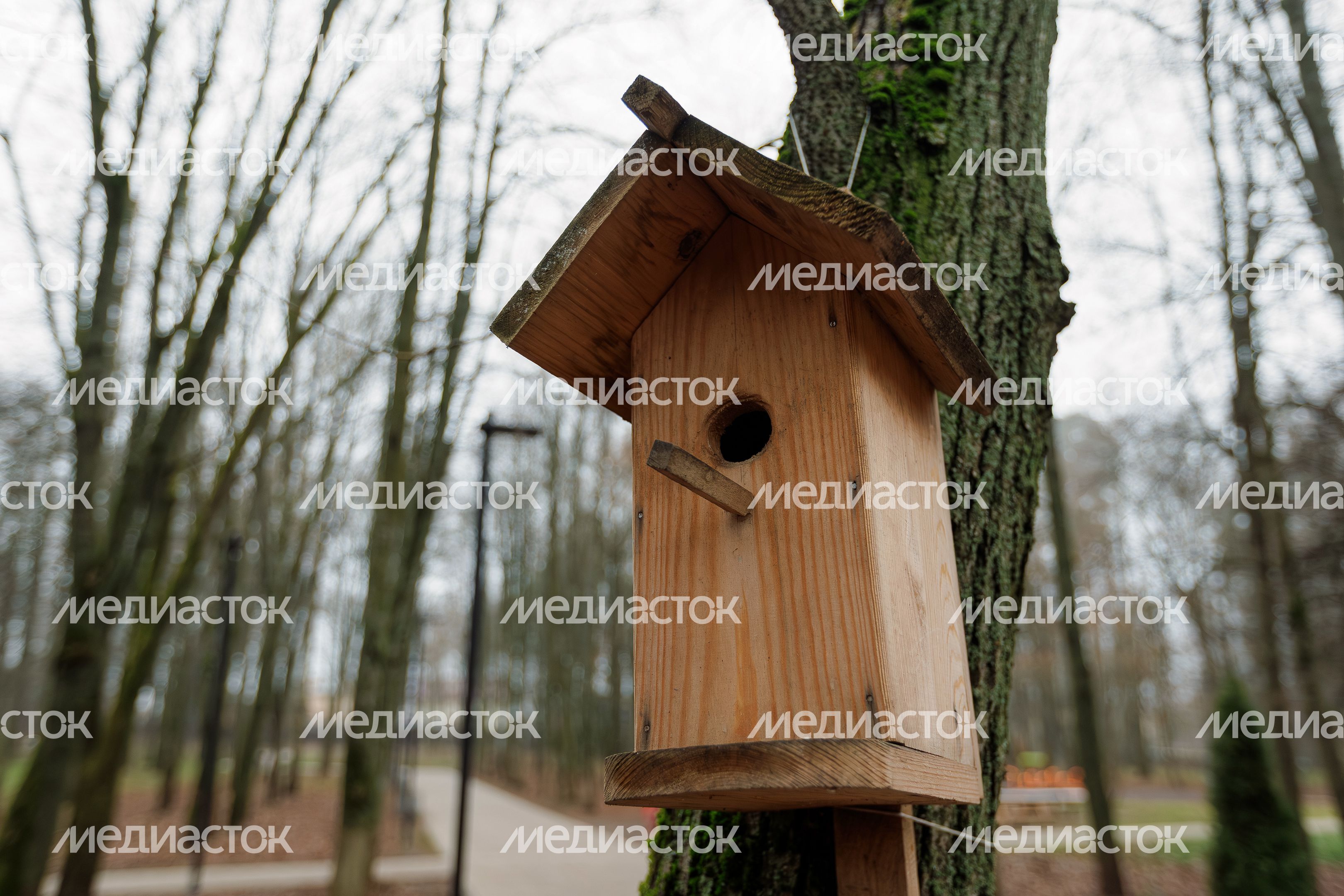 Скворечник в парке культуры и отдыха «Свердловский» поселка Свердловский Скворечник в парке культуры и отдыха «Свердловский» поселка Свердловский