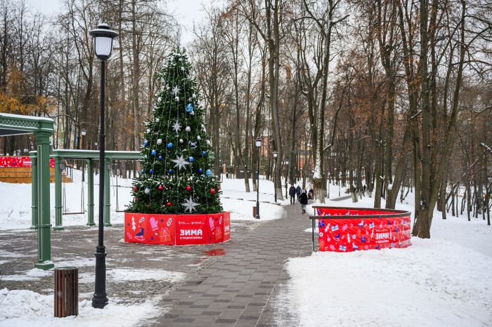 Елка в Раменском городском парке в новогодние праздники