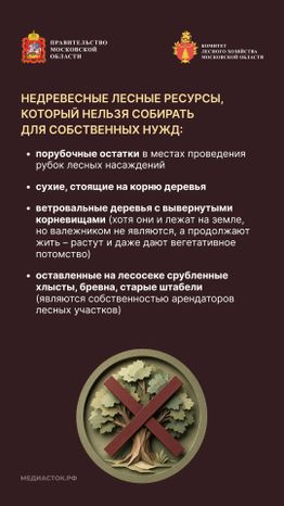 Валежник для собственных нужд вертикаль 05