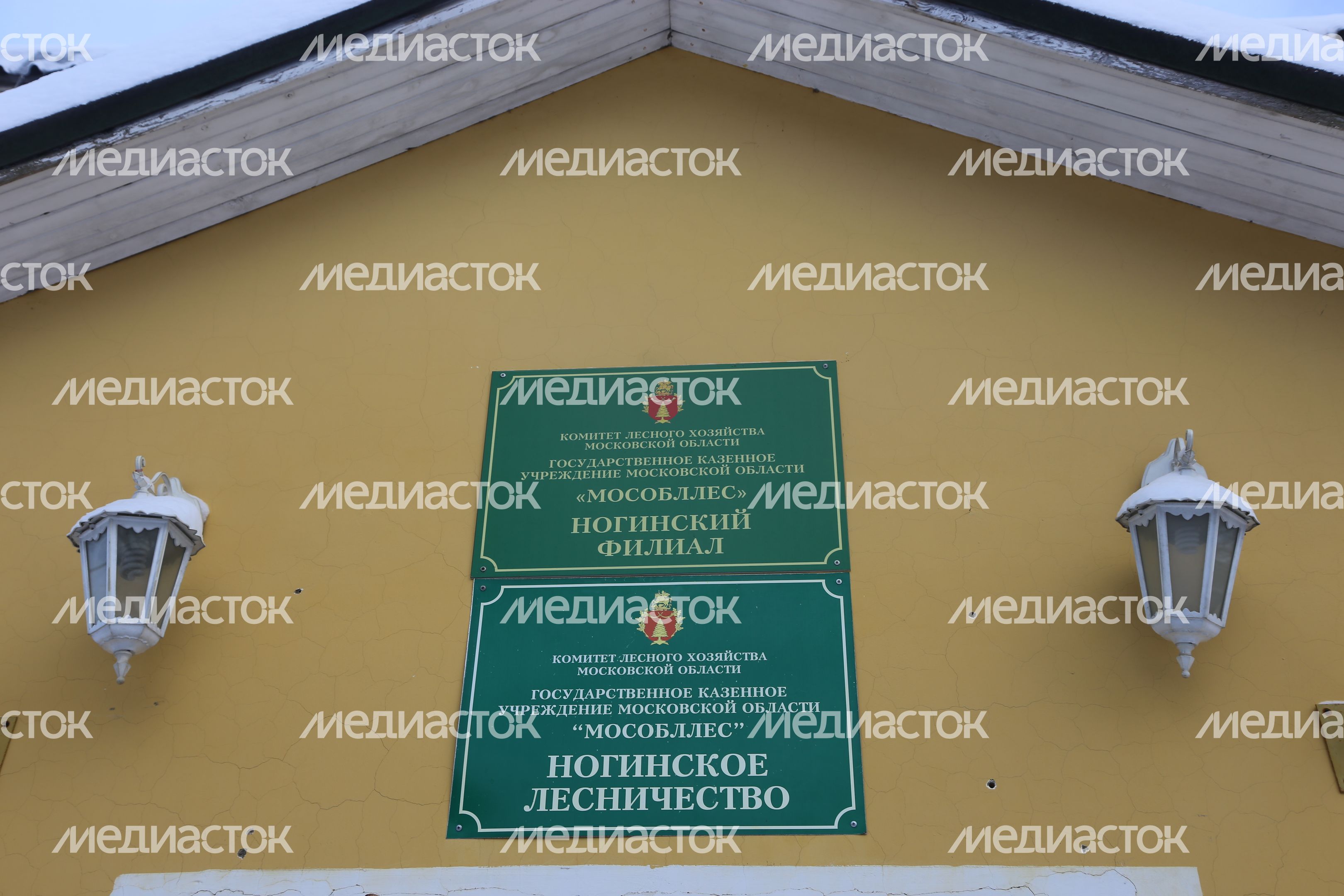 Совещание Мурашова в Ногинском лесничестве и осмотр ЛПС
