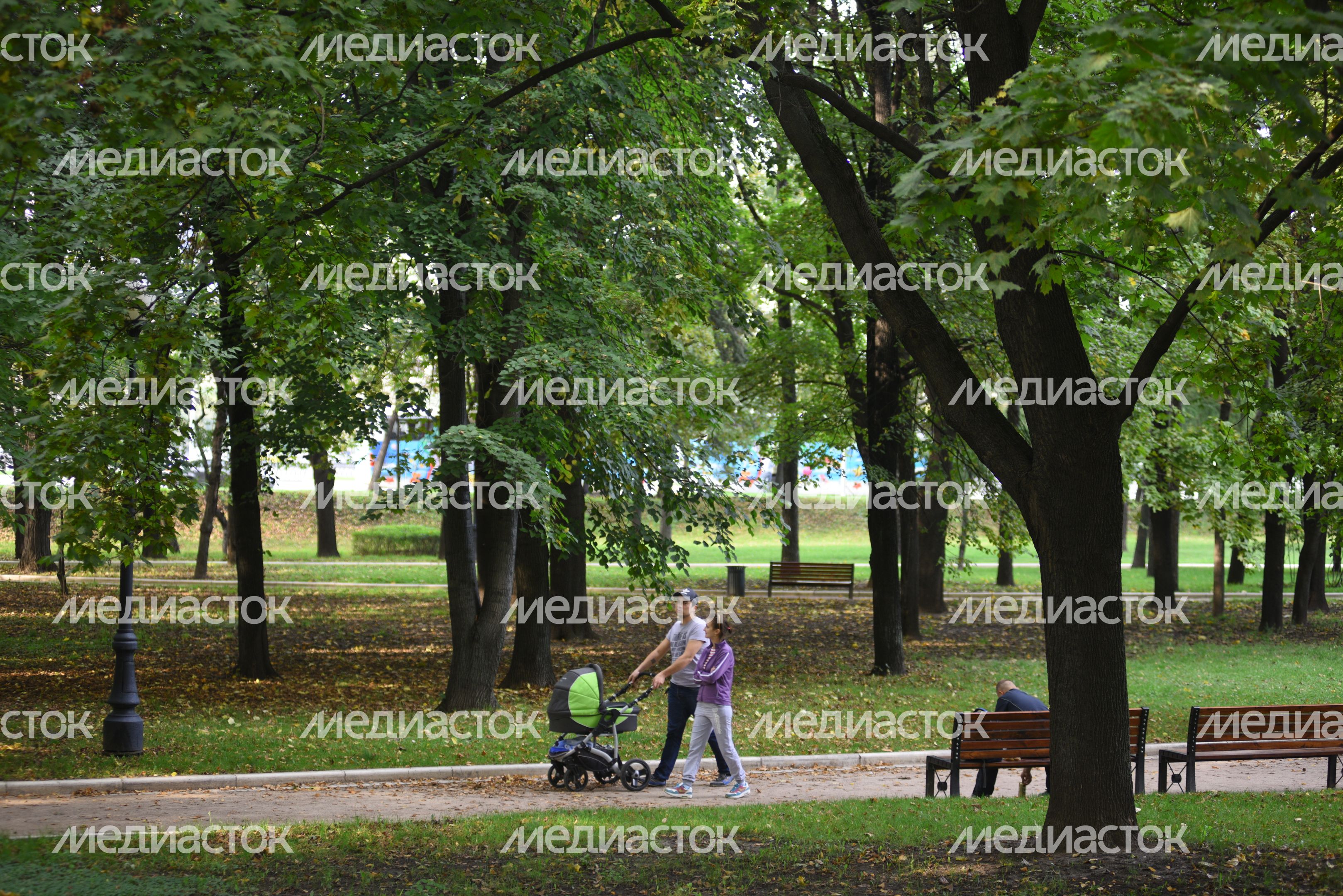 Парк Новодевичьи пруды в Москве