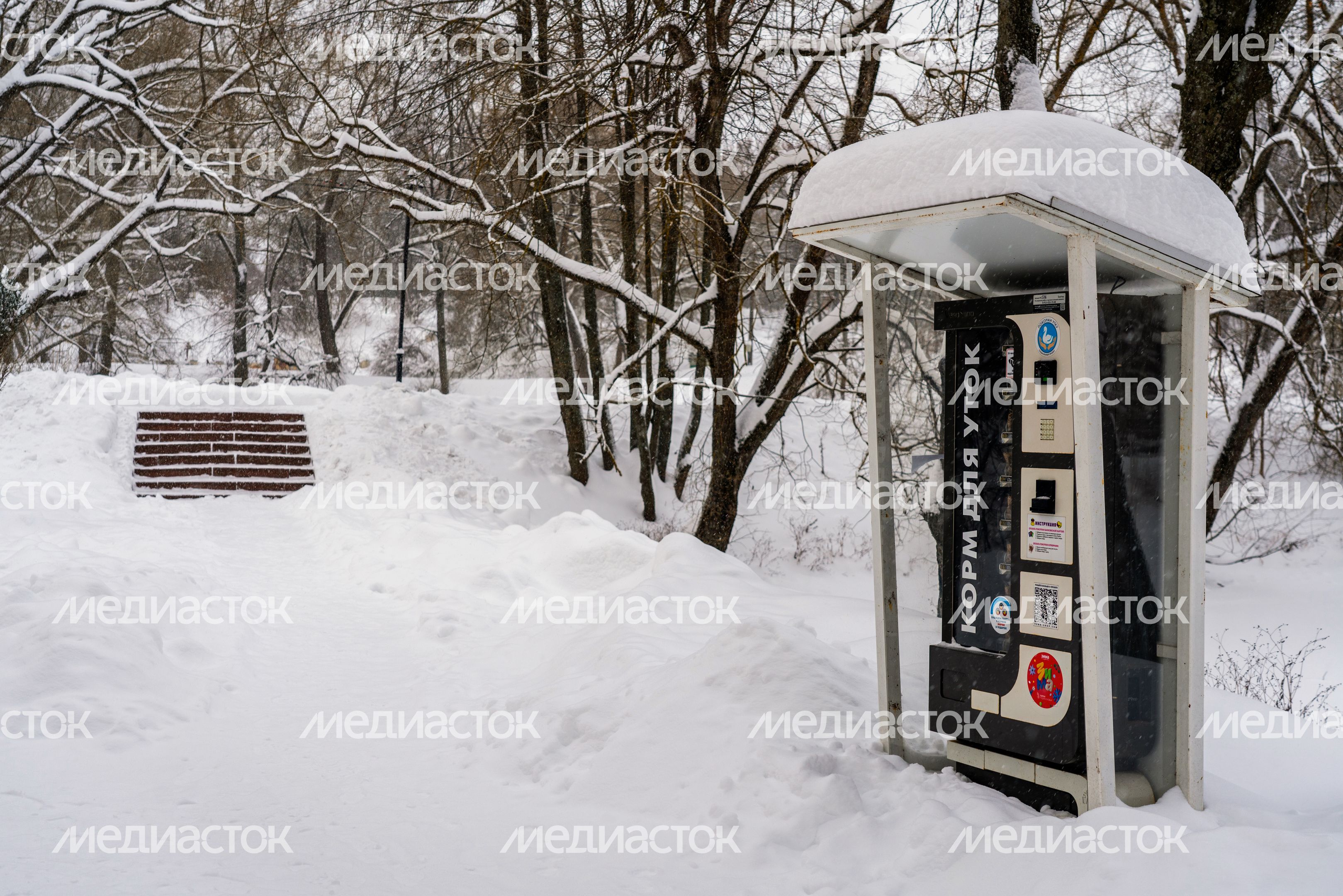 Автомат с кормом для уток в городском парке культуры и отдыха Чехова зимой Автомат с кормом для уток в городском парке культуры и отдыха Чехова зимой