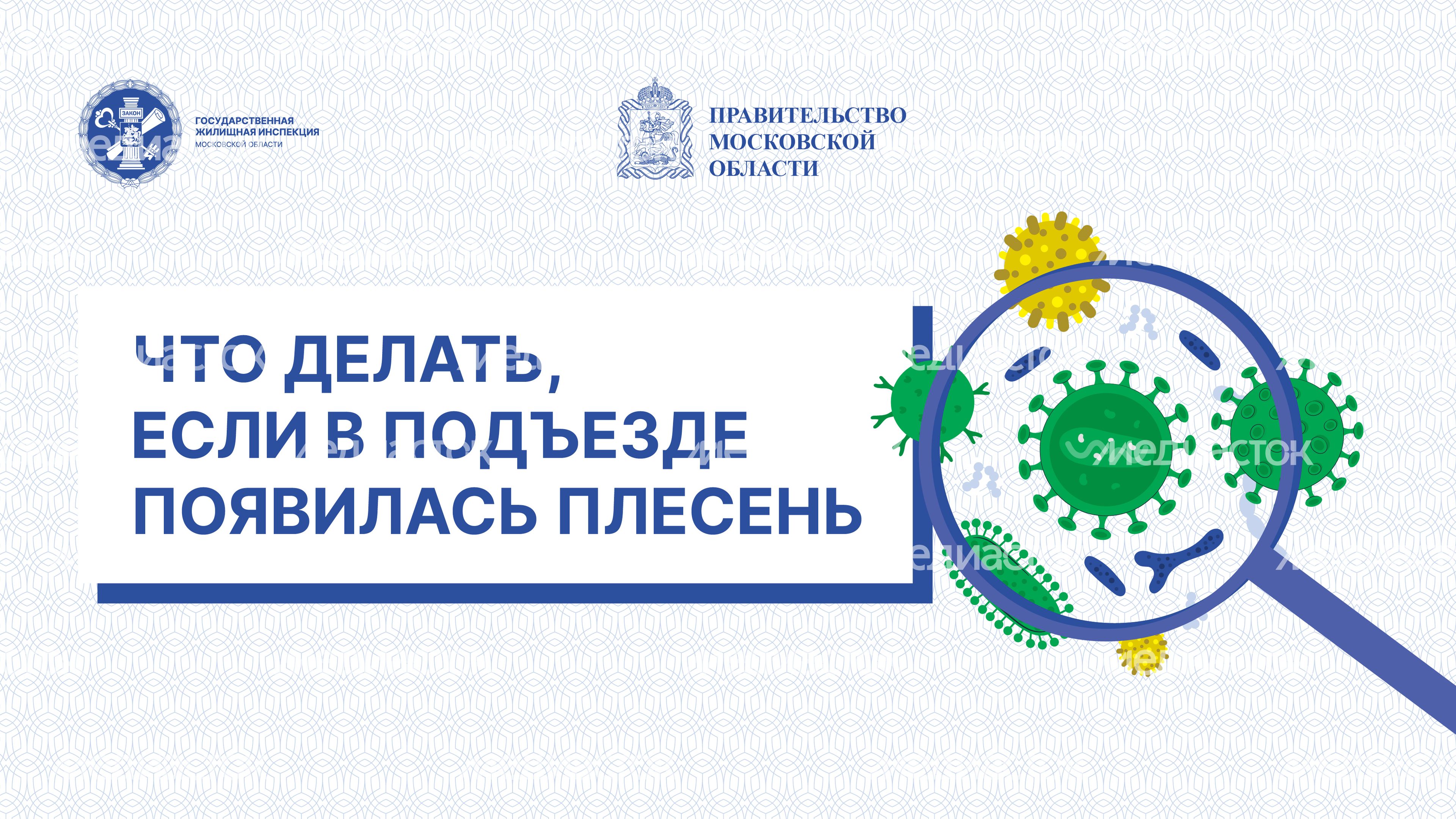 Горизонтали Плесень 01.jpg