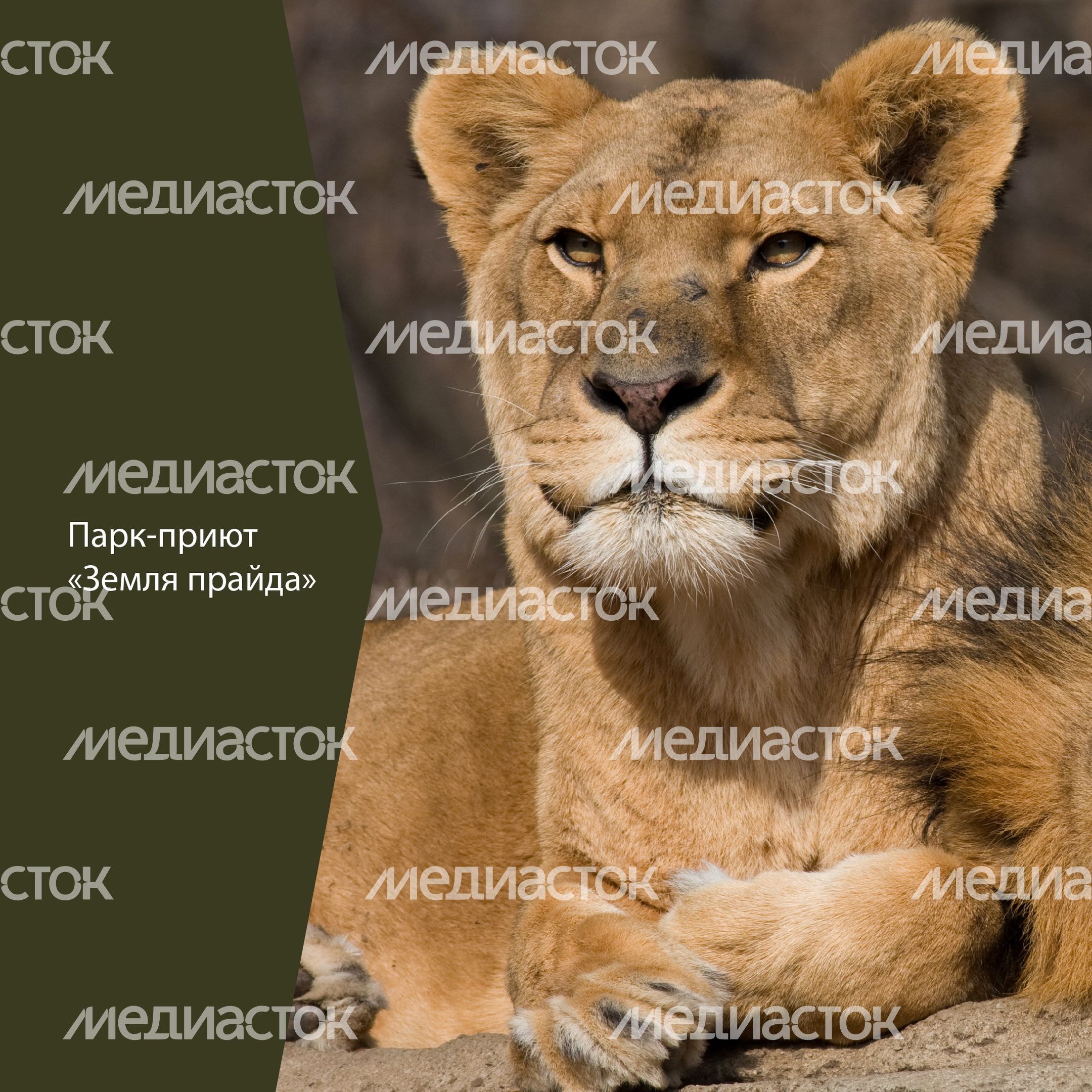 Фермы с животными-22.jpg
