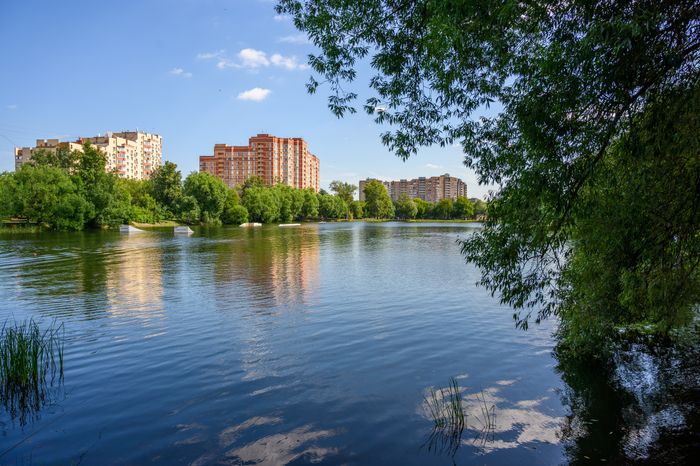 Лето в Наташинском парке Люберец