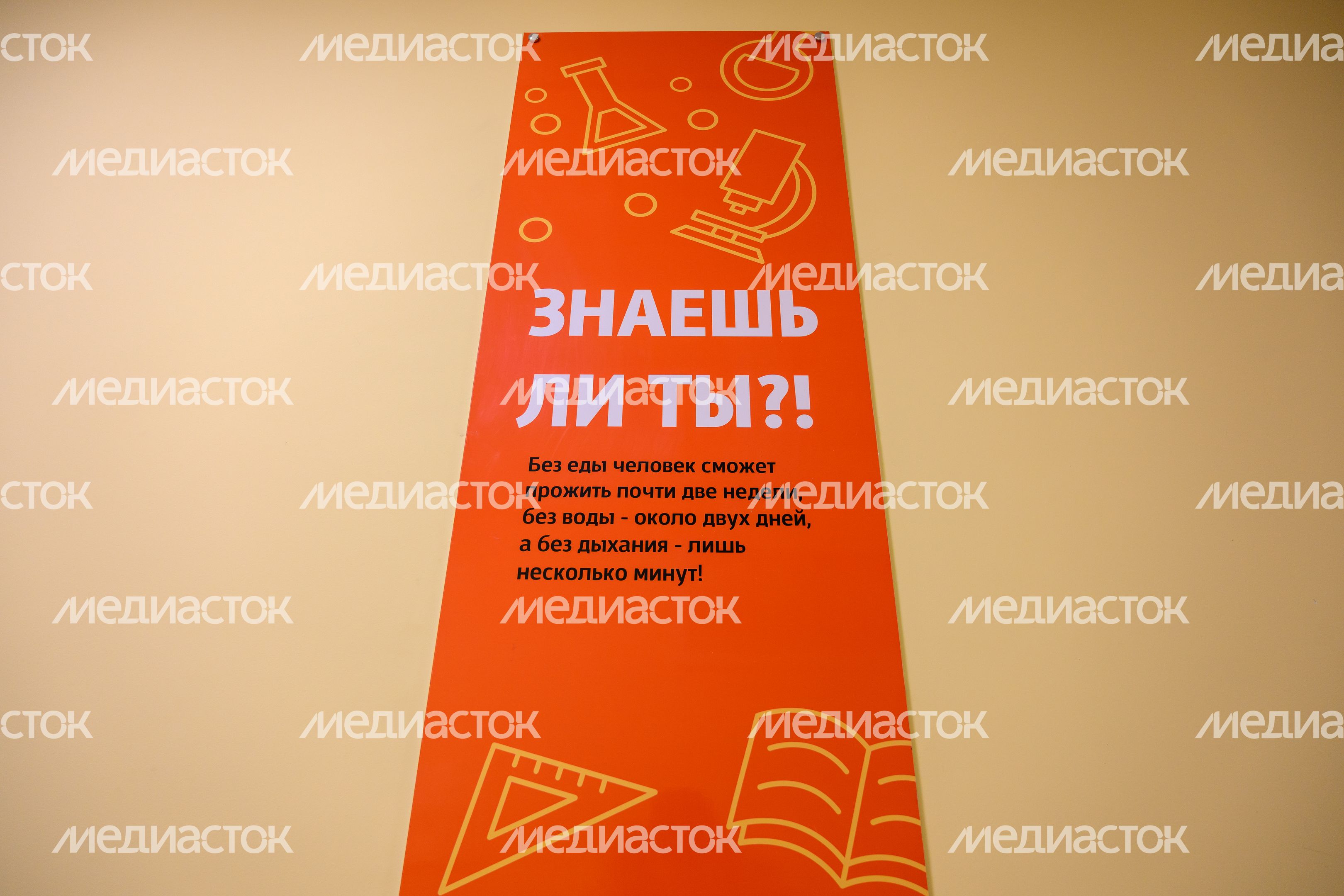 Коридор нового корпуса начальной школы образовательного комплекса №19 в Мытищах Коридор нового корпуса начальной школы образовательного комплекса №19 в Мытищах