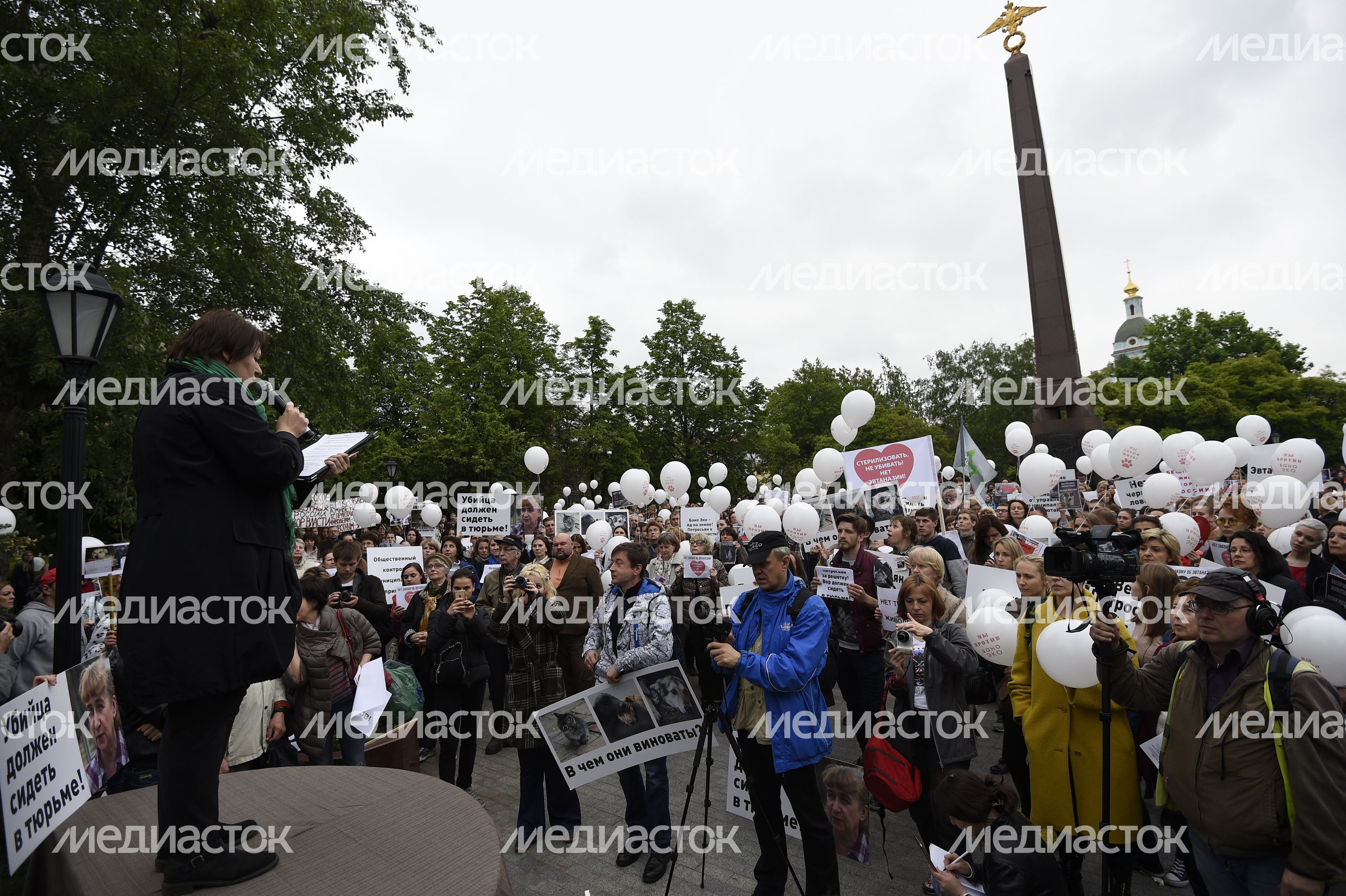 Митинг в защиту животных из приютов в Москве