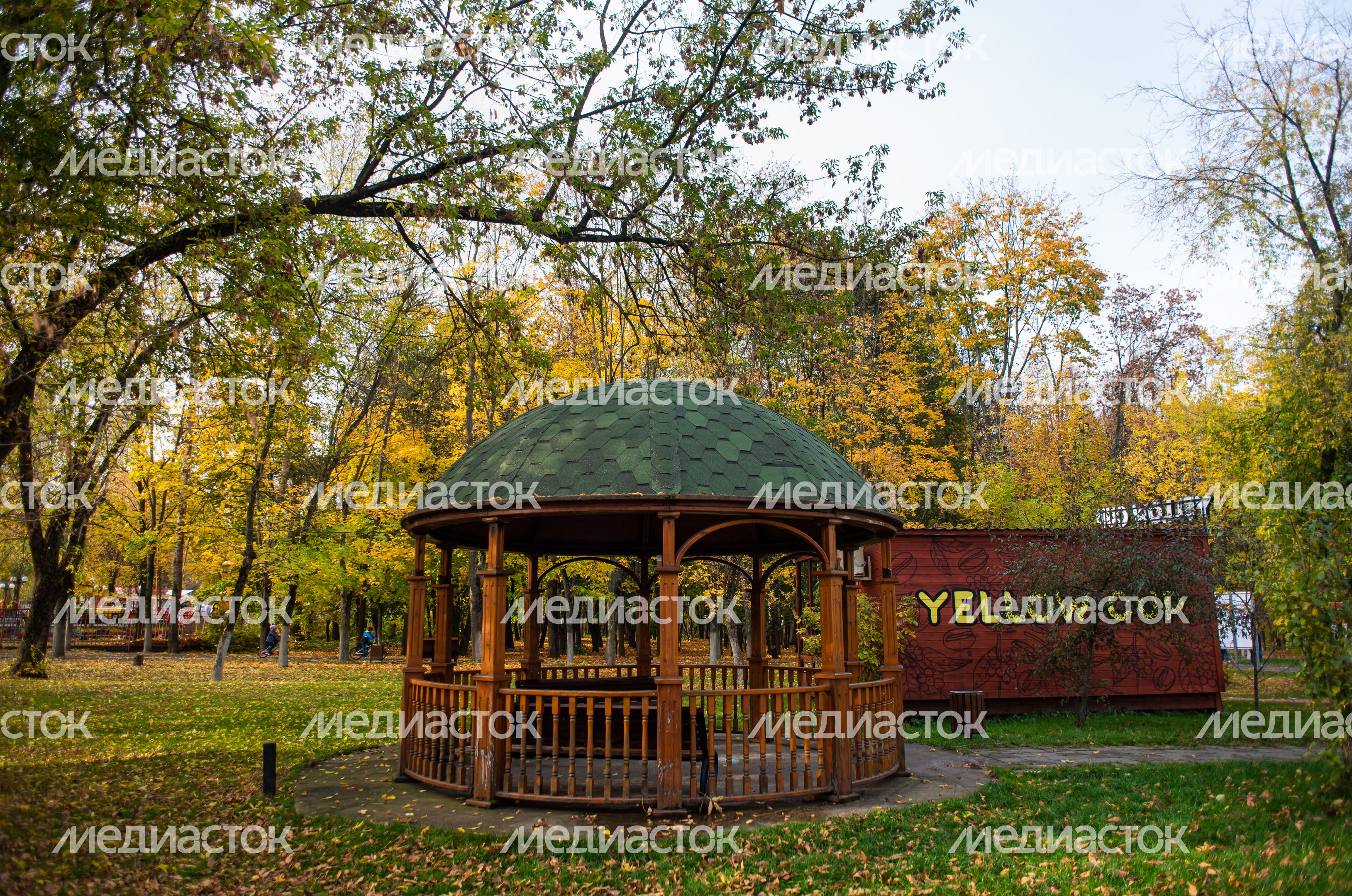 Осенние виды Городского парка в Щёлково