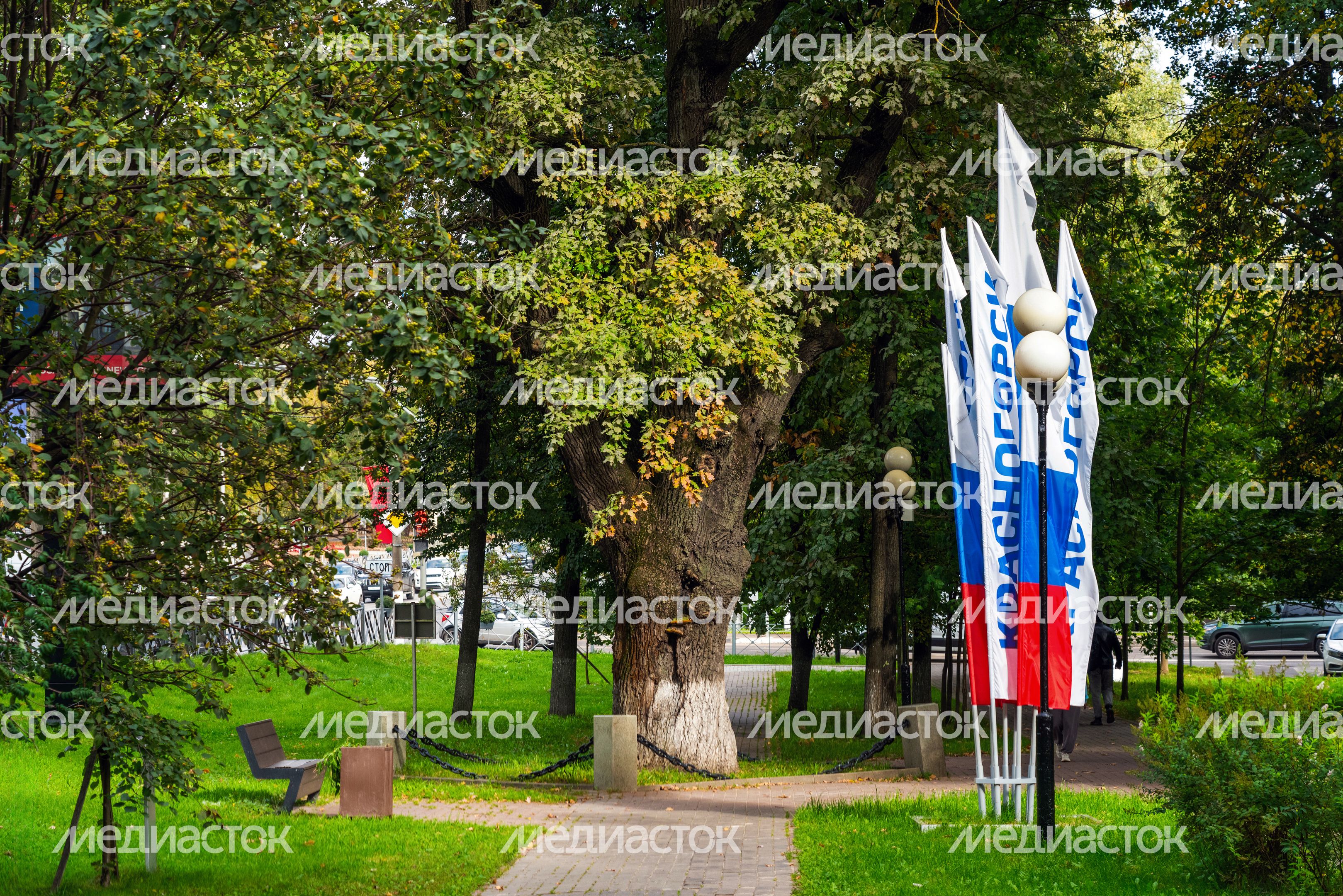 Аллея Славы в Красногорске Аллея Славы в Красногорске