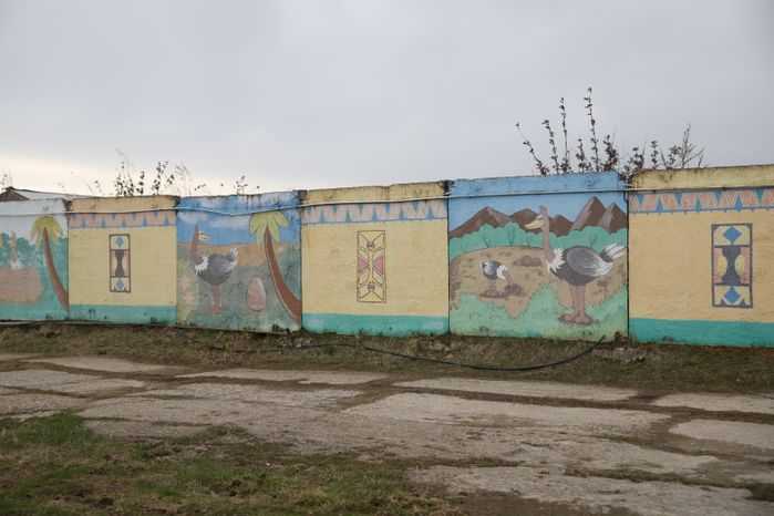 Серпухов. Ферма «Русский страус»