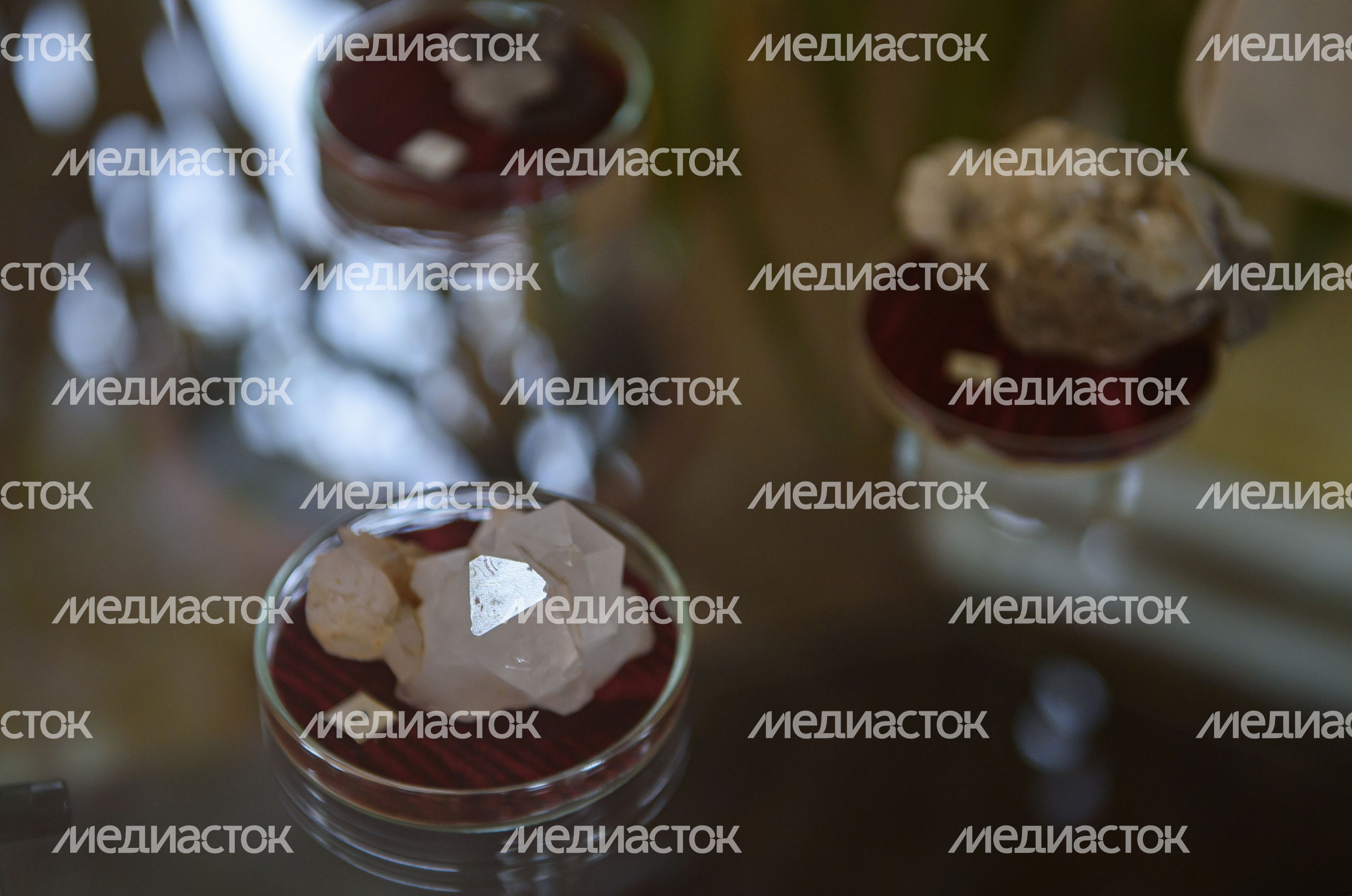 Пущинский музей экологии и краеведения