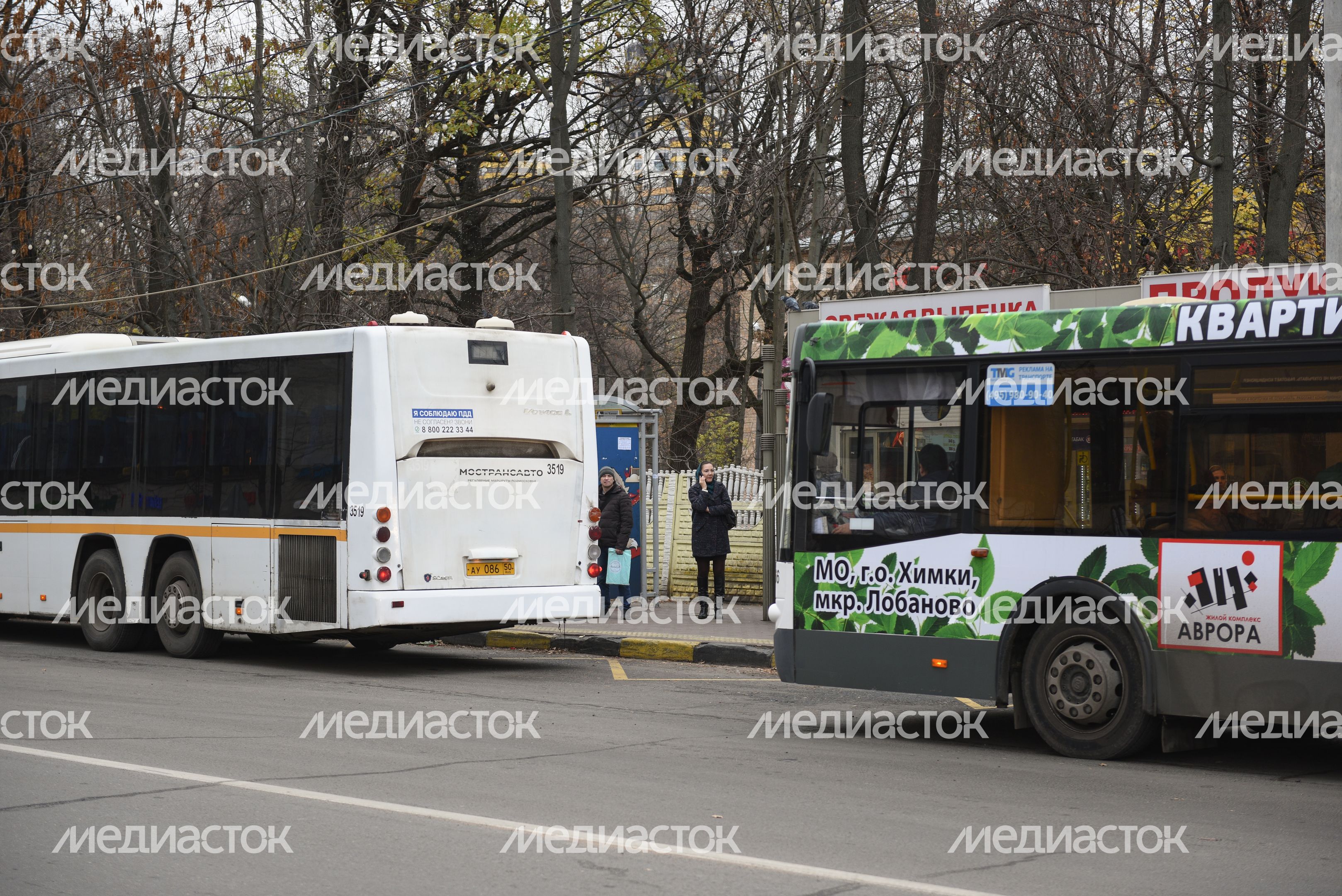 Общественный транспорт в Подмосковье