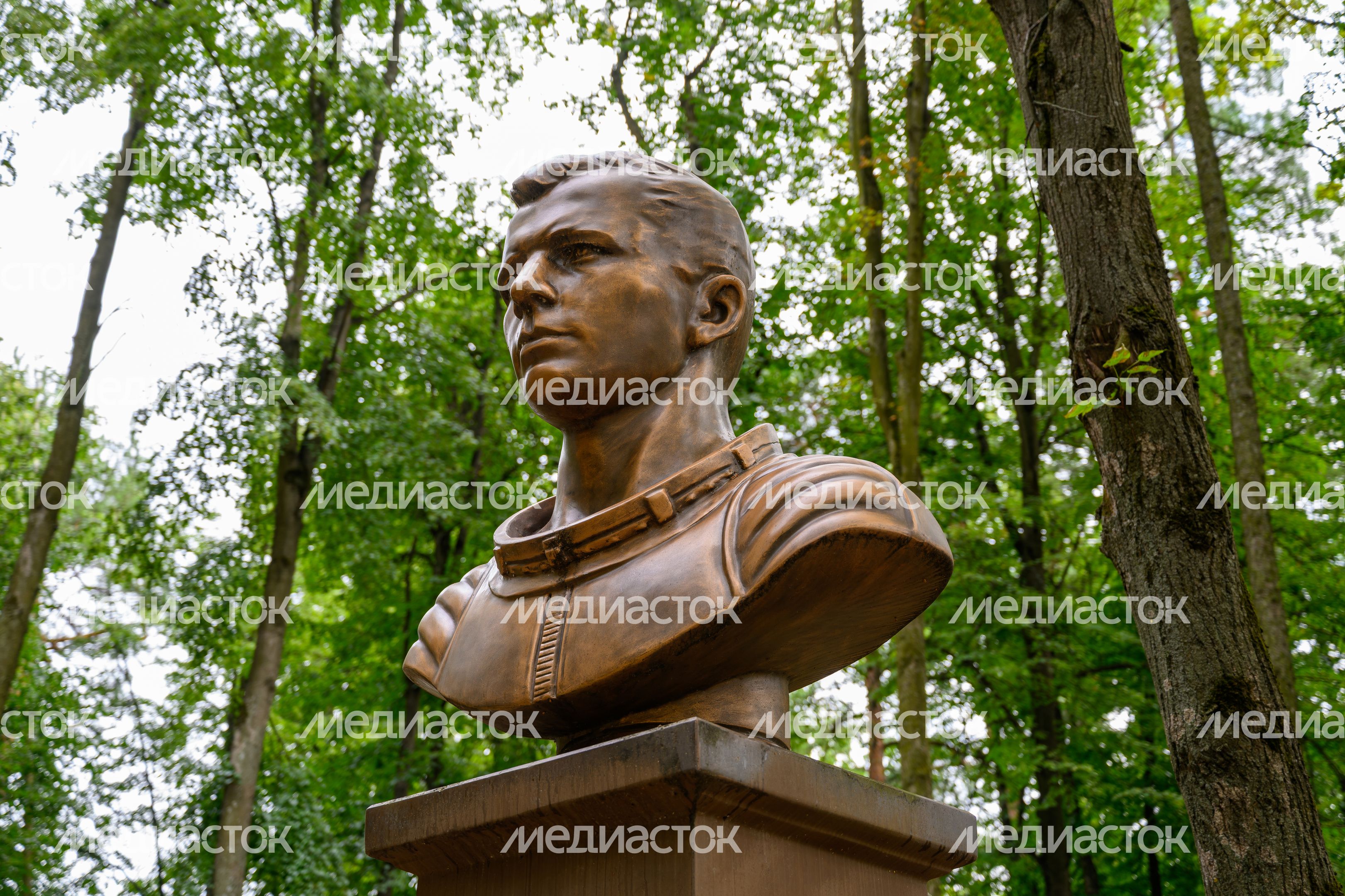 Аллея Героев Отечества в Щелково