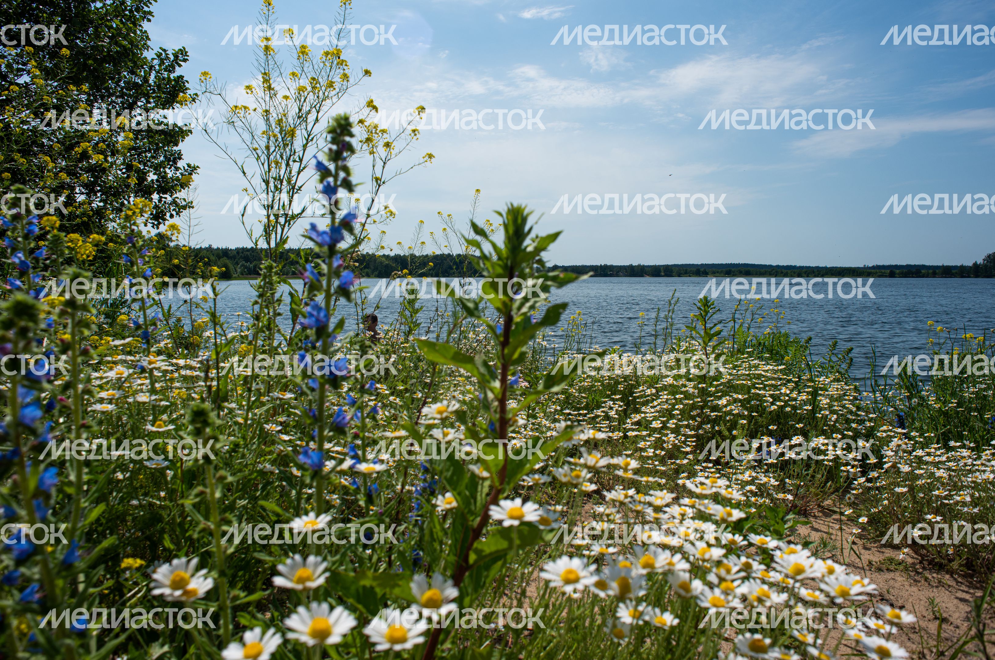 Голубые озера в Луховицах