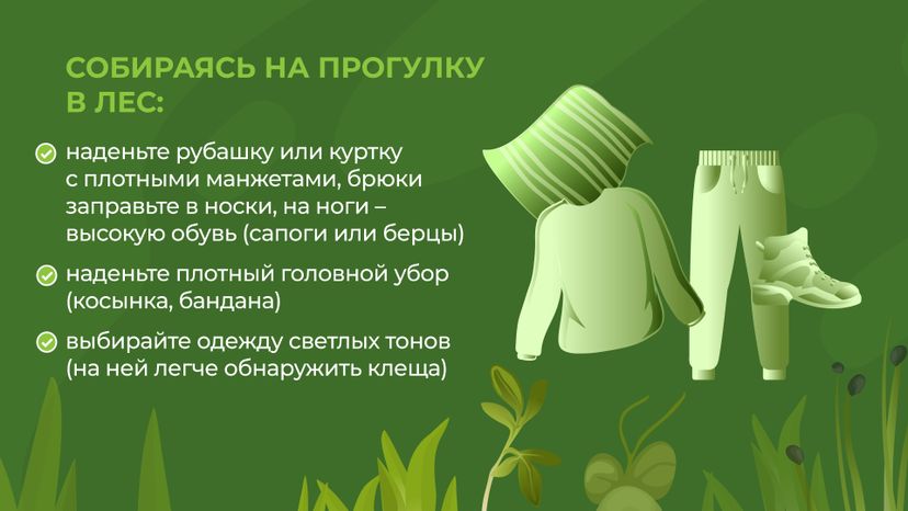 комлесхоз_клещи_гор_4
