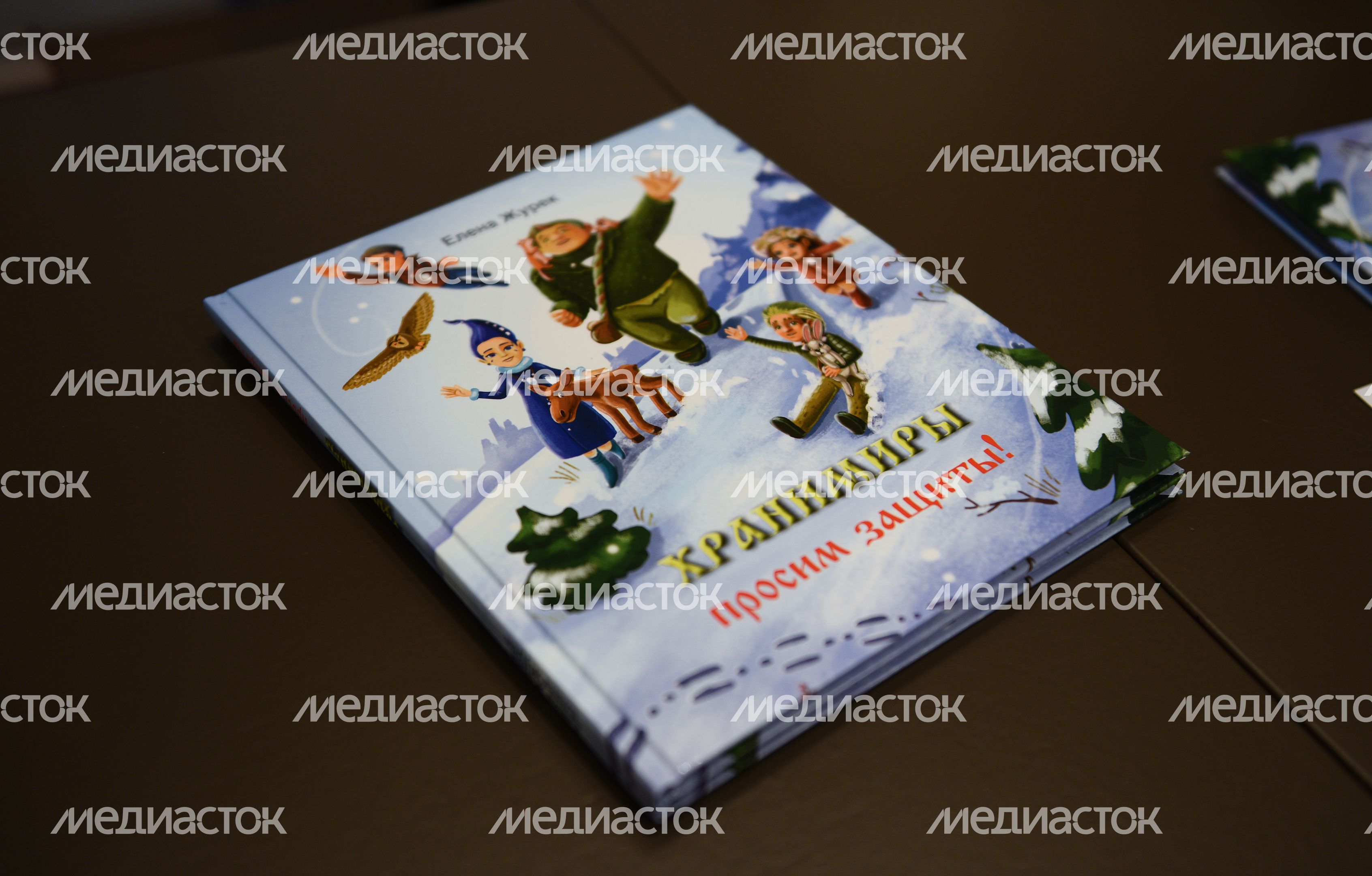 Пресс-конференция автора книг экологического фэнтези «Хранимиры»