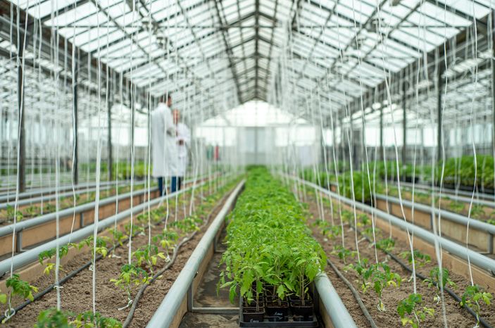 Теплицы крупного семеноводческого агропромышленного комплекса ООО «Агрофирма Партнер»