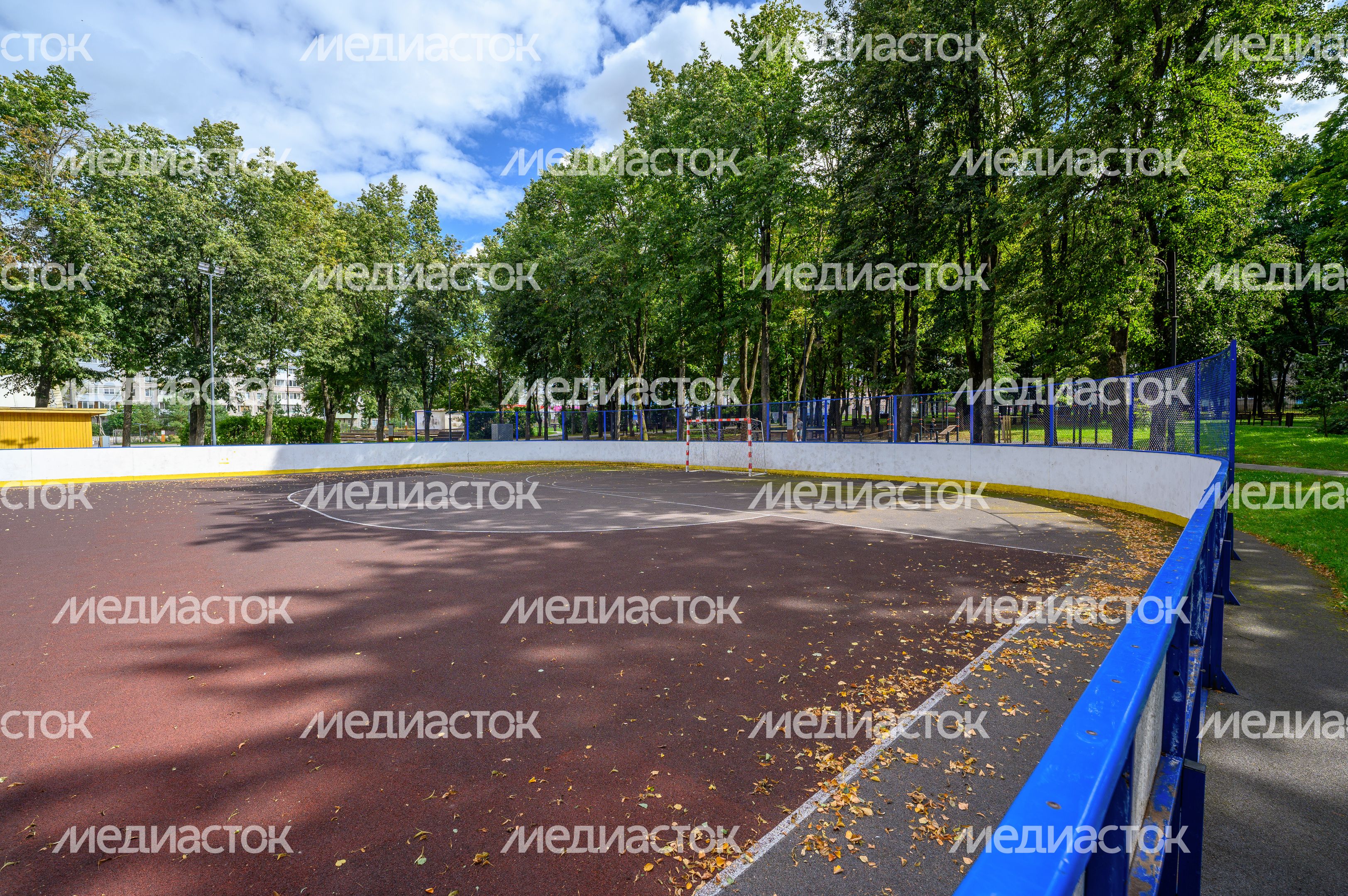 Спортивная площадка в Зарайском центральном парке культуры и отдыха летом Спортивная площадка в Зарайском центральном парке культуры и отдыха летом