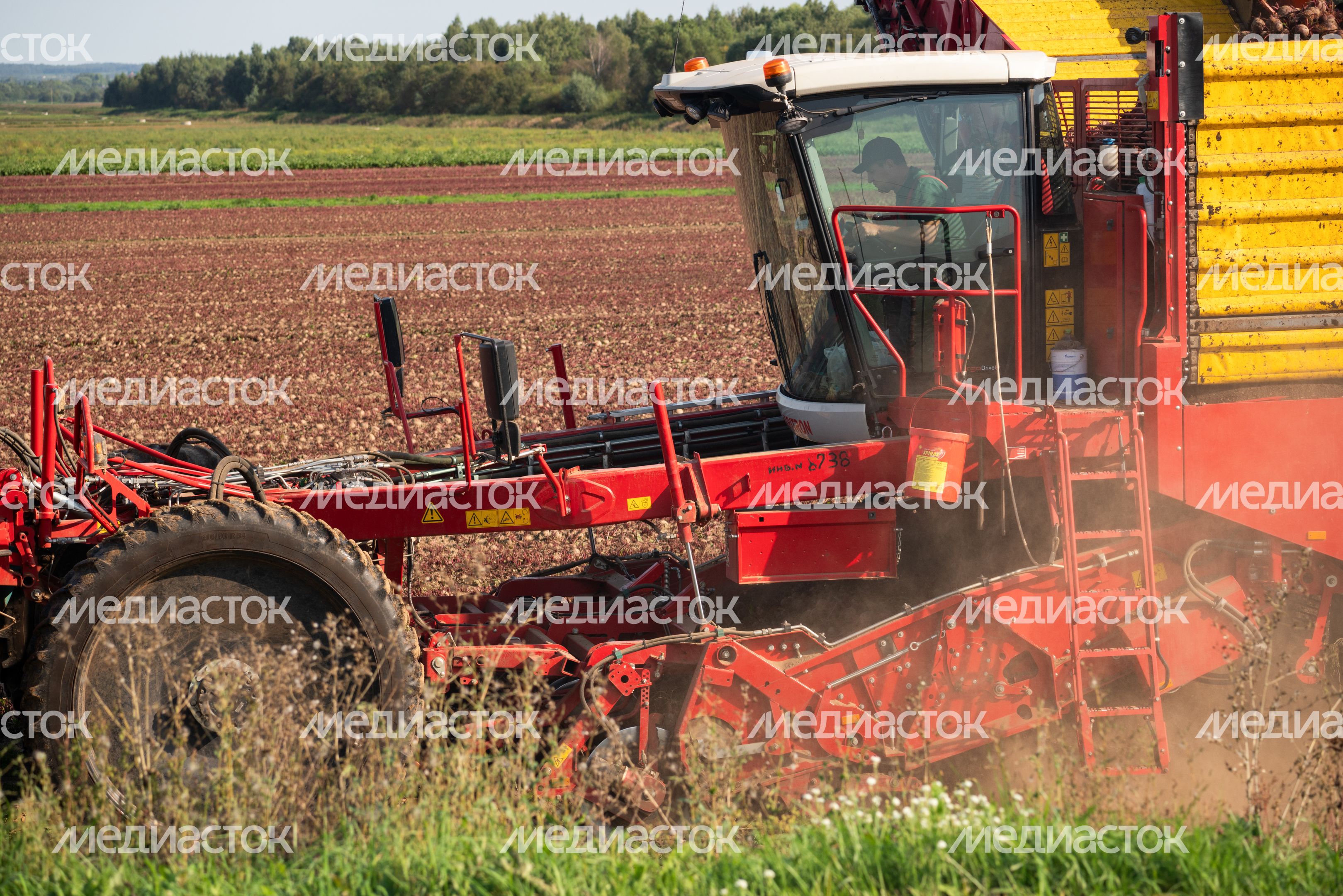 Уборка урожая на полях ГК "Дмитровские овощи" Уборка урожая на полях ГК "Дмитровские овощи"