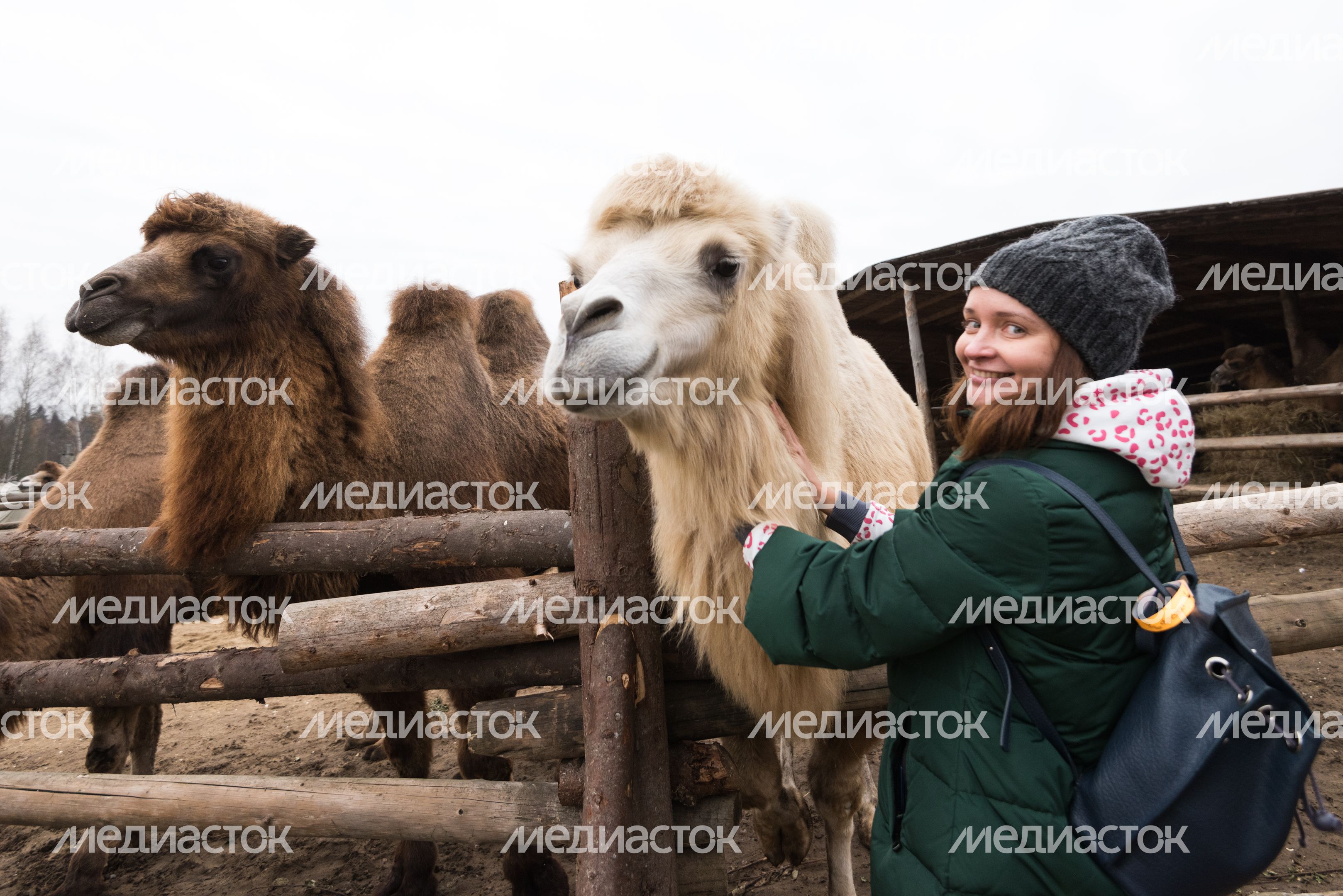 Этнопарк «Кочевник»