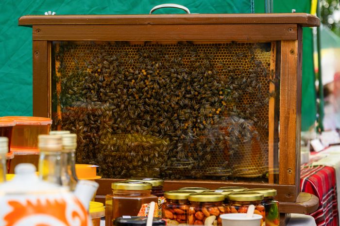 Гастрономический фестиваль «Вар-Варенье» в Ликино-Дулево