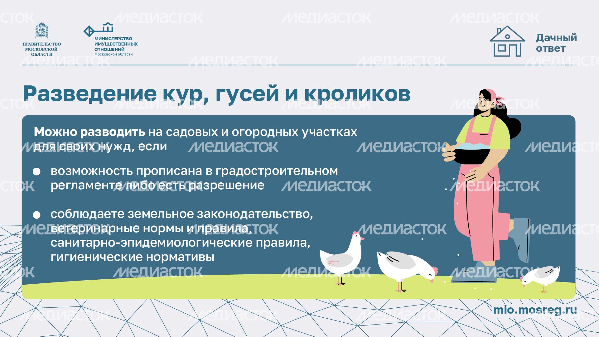 Дачный сезон штрафы-горизонталь-09