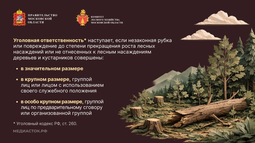 Незаконная рубка горизонталь 06