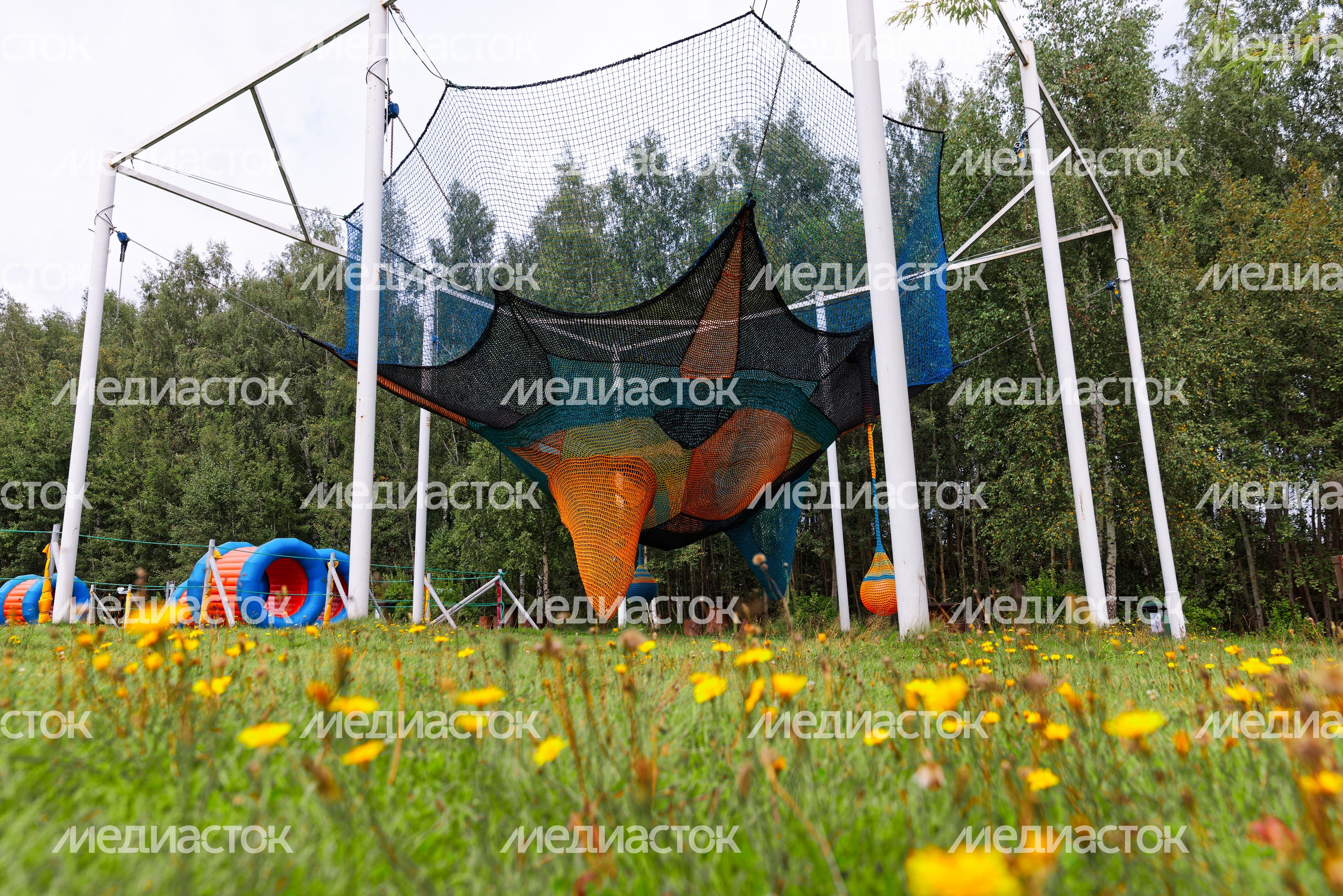 Парк приключений «Дикие белки» в округе Чехов Парк приключений «Дикие белки» в округе Чехов