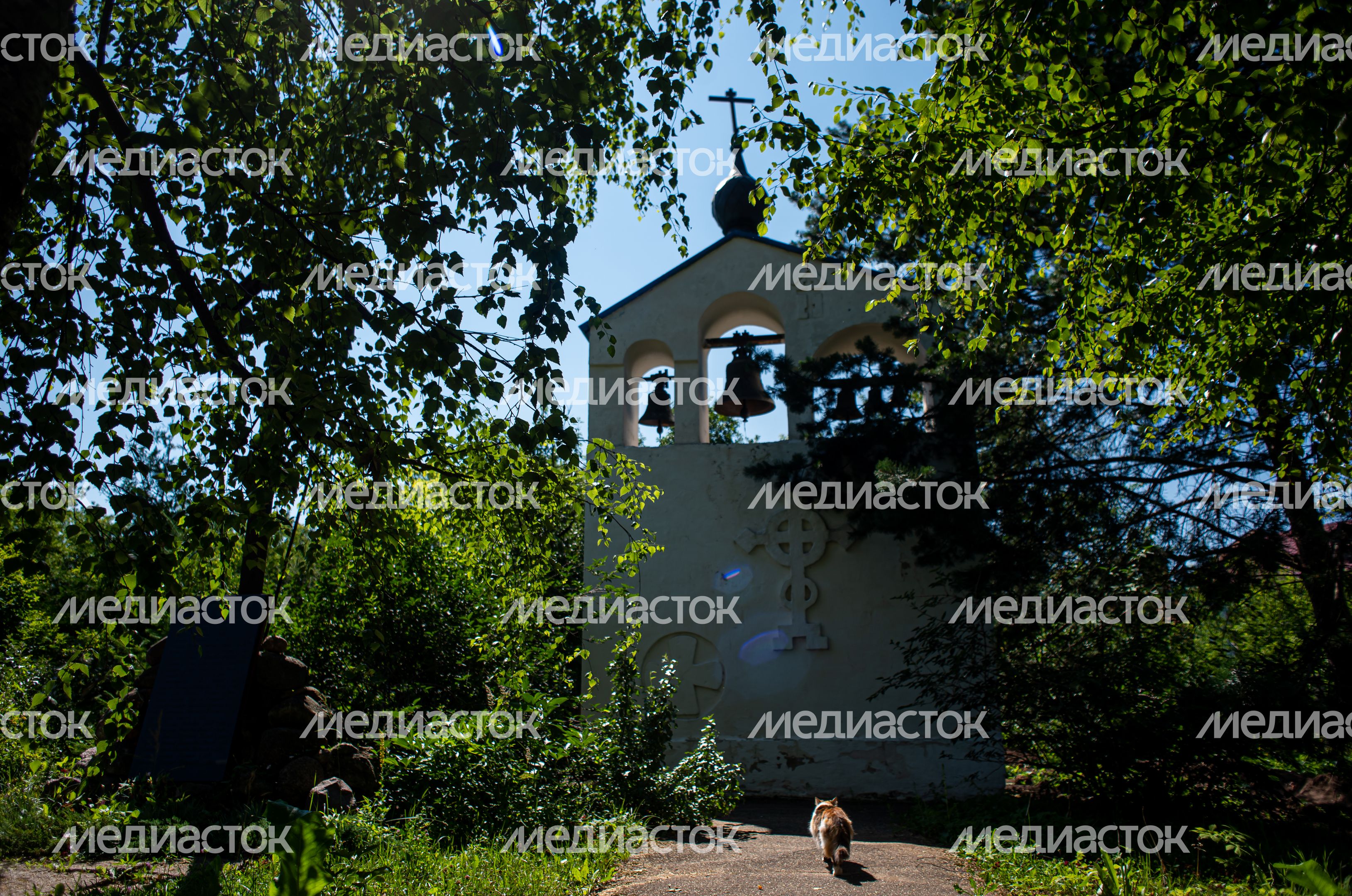 Летние виды города Клин