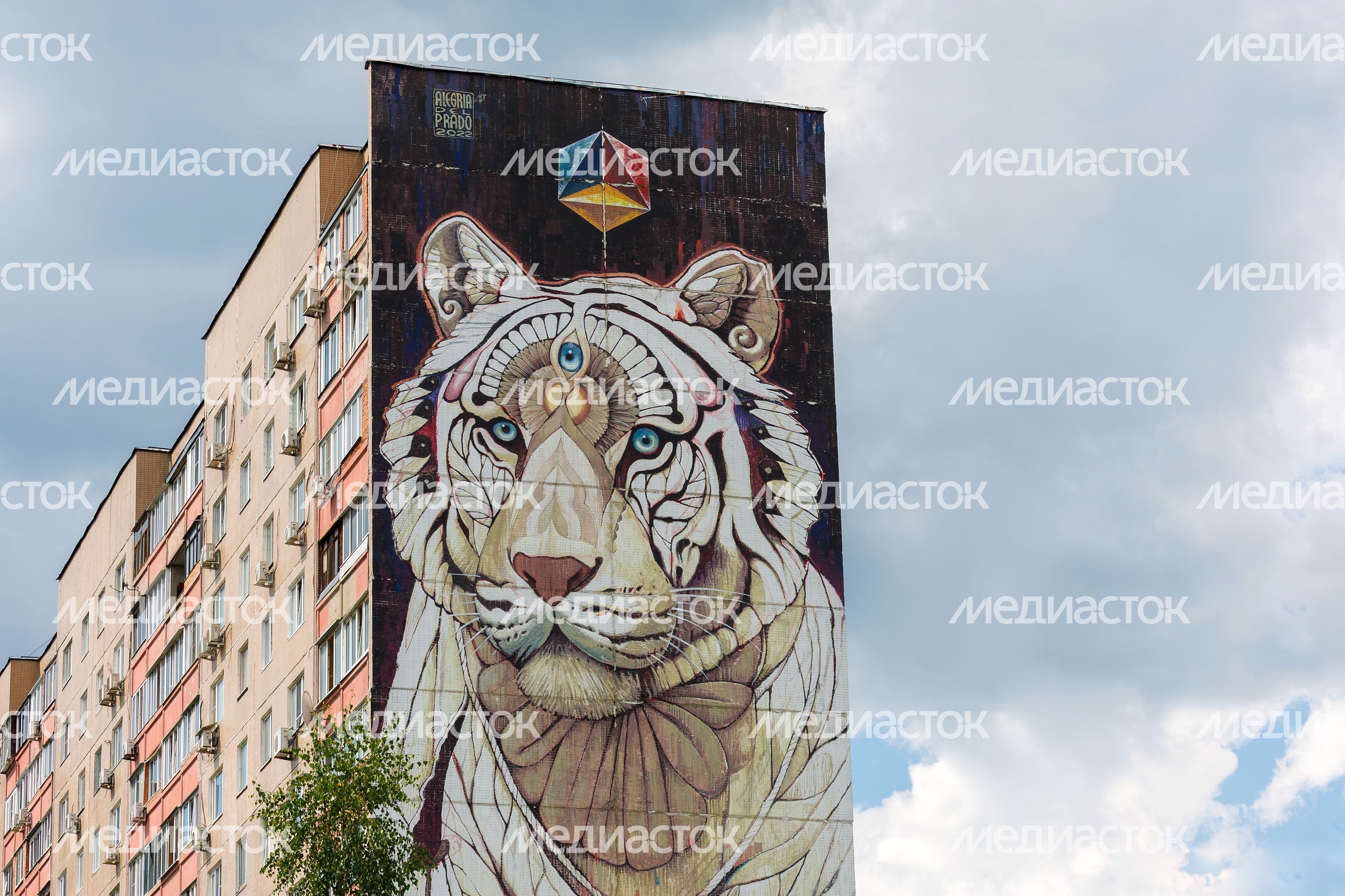 Муралы в Железнодорожном, Балашиха