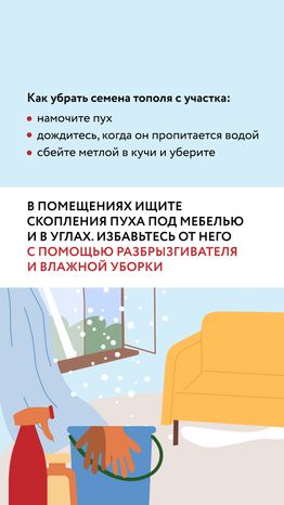 Тополиный пух