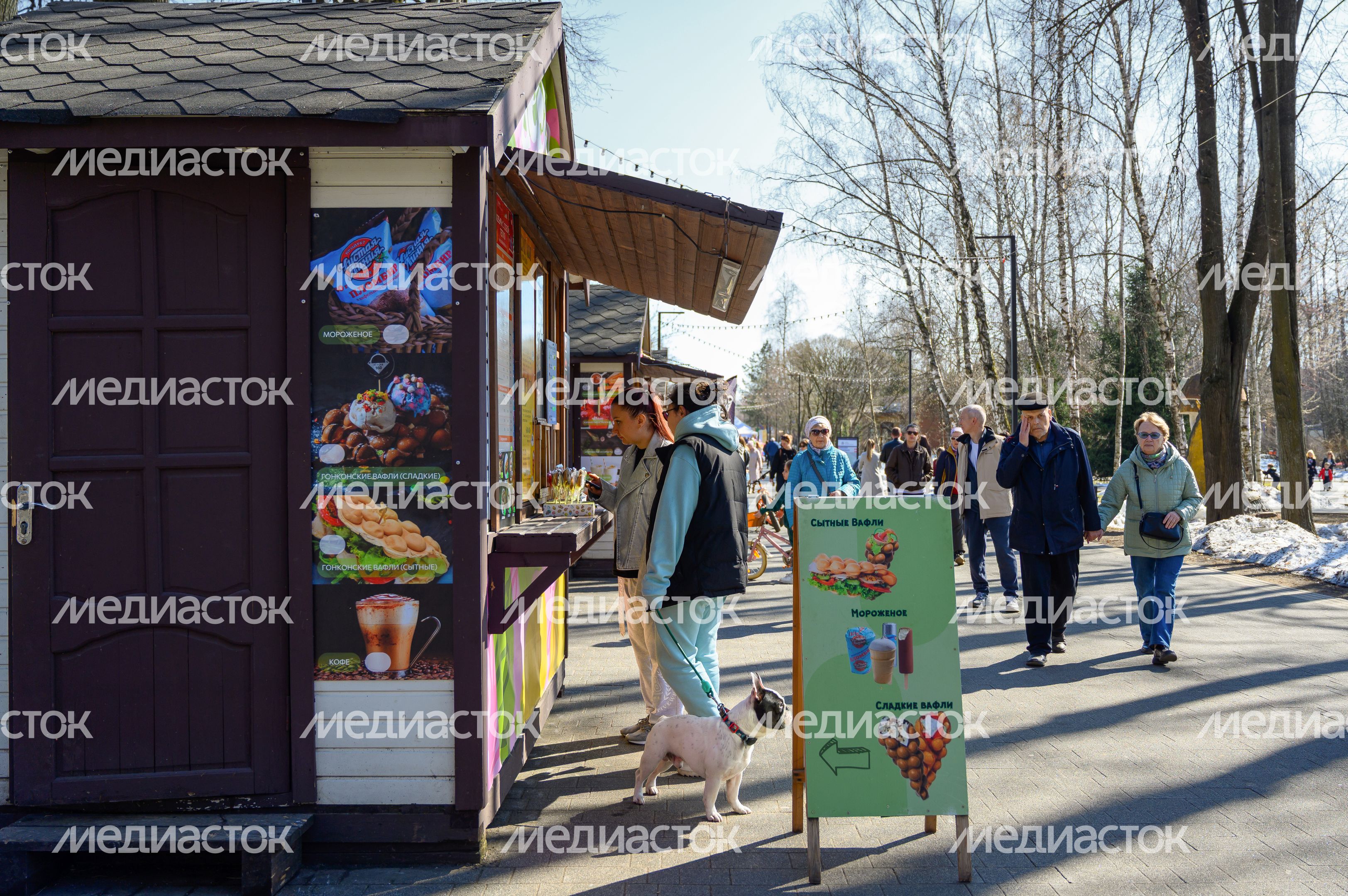 Весна в парке Мира города Мытищи Весна в парке Мира города Мытищи