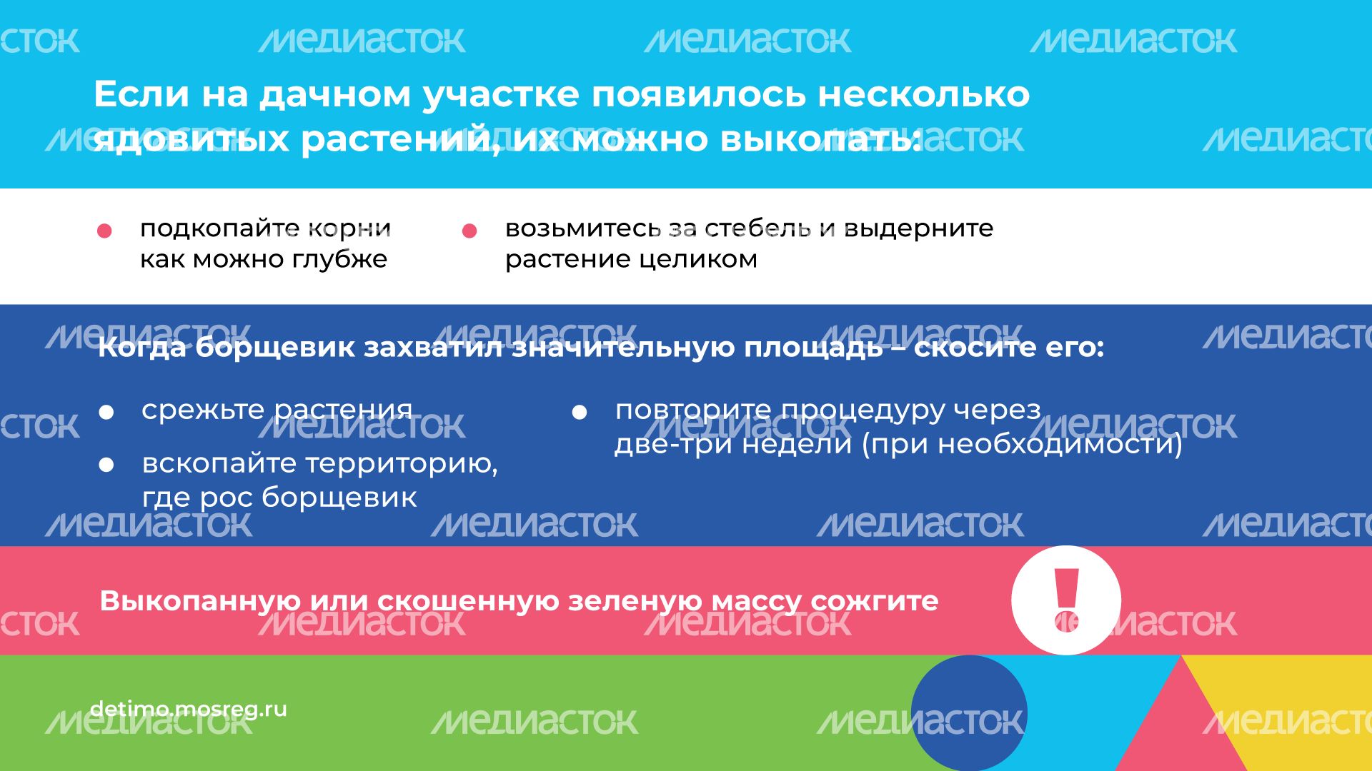 Горизонталь_Борщевик Сосновского_09.png