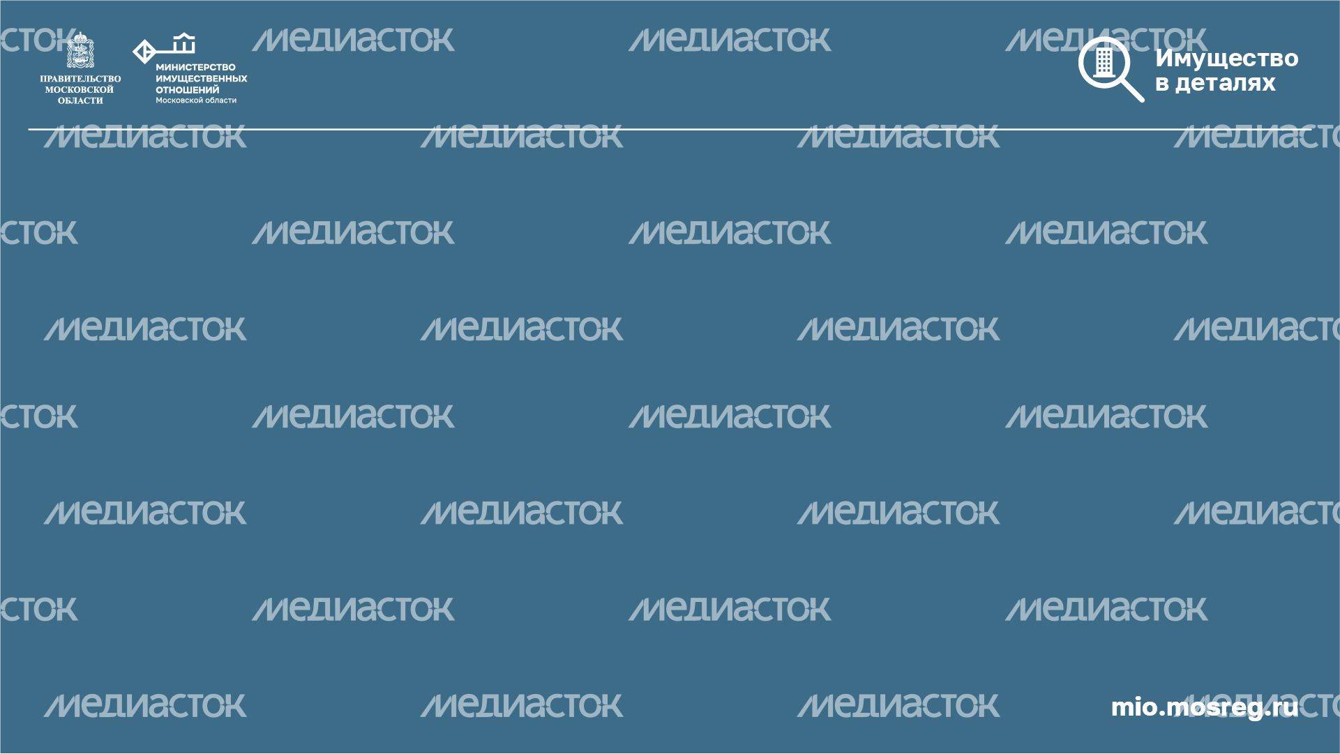 Горизонталь_имущество в детялях_синий-100.jpg