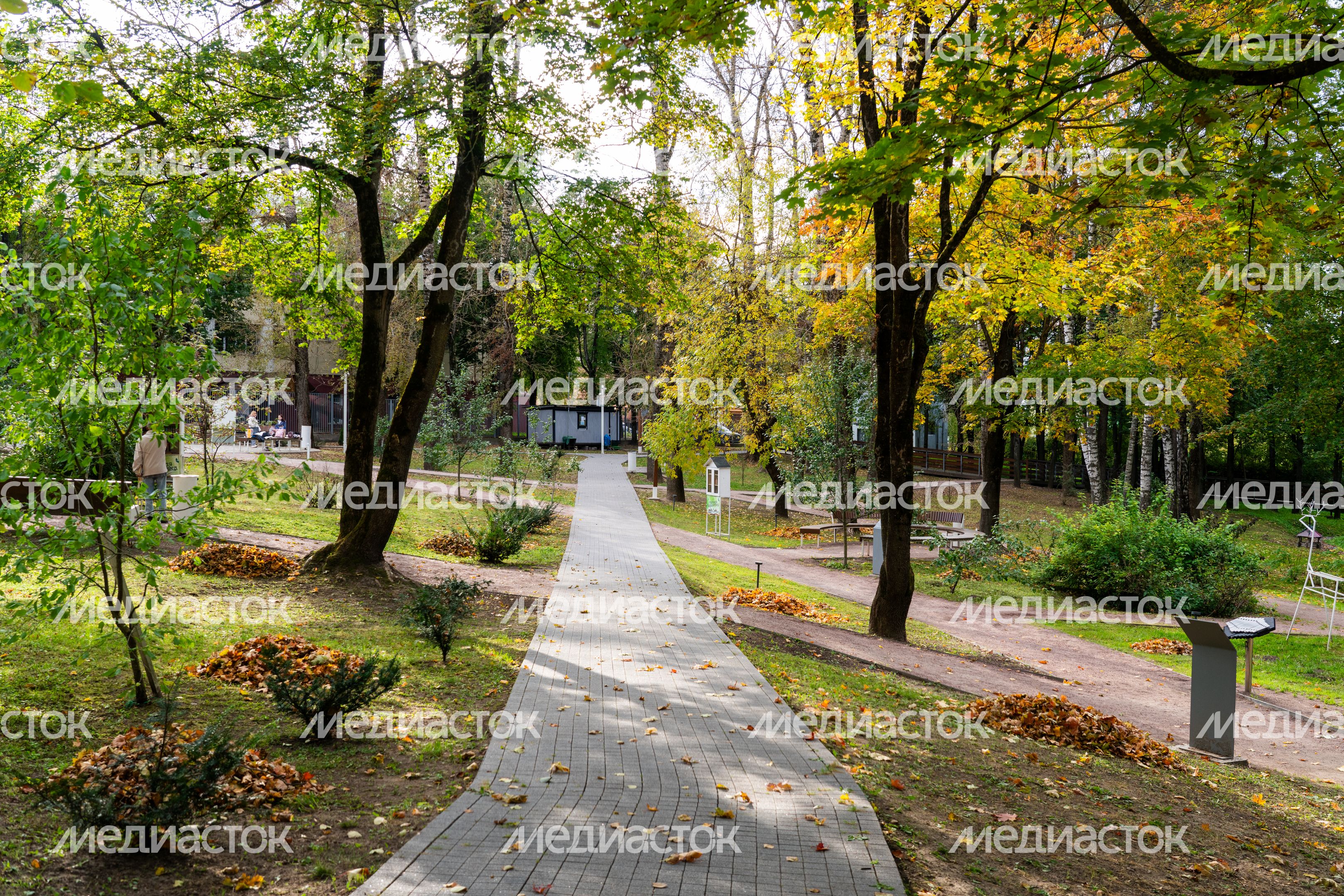Истринский городской парк осенью Истринский городской парк осенью