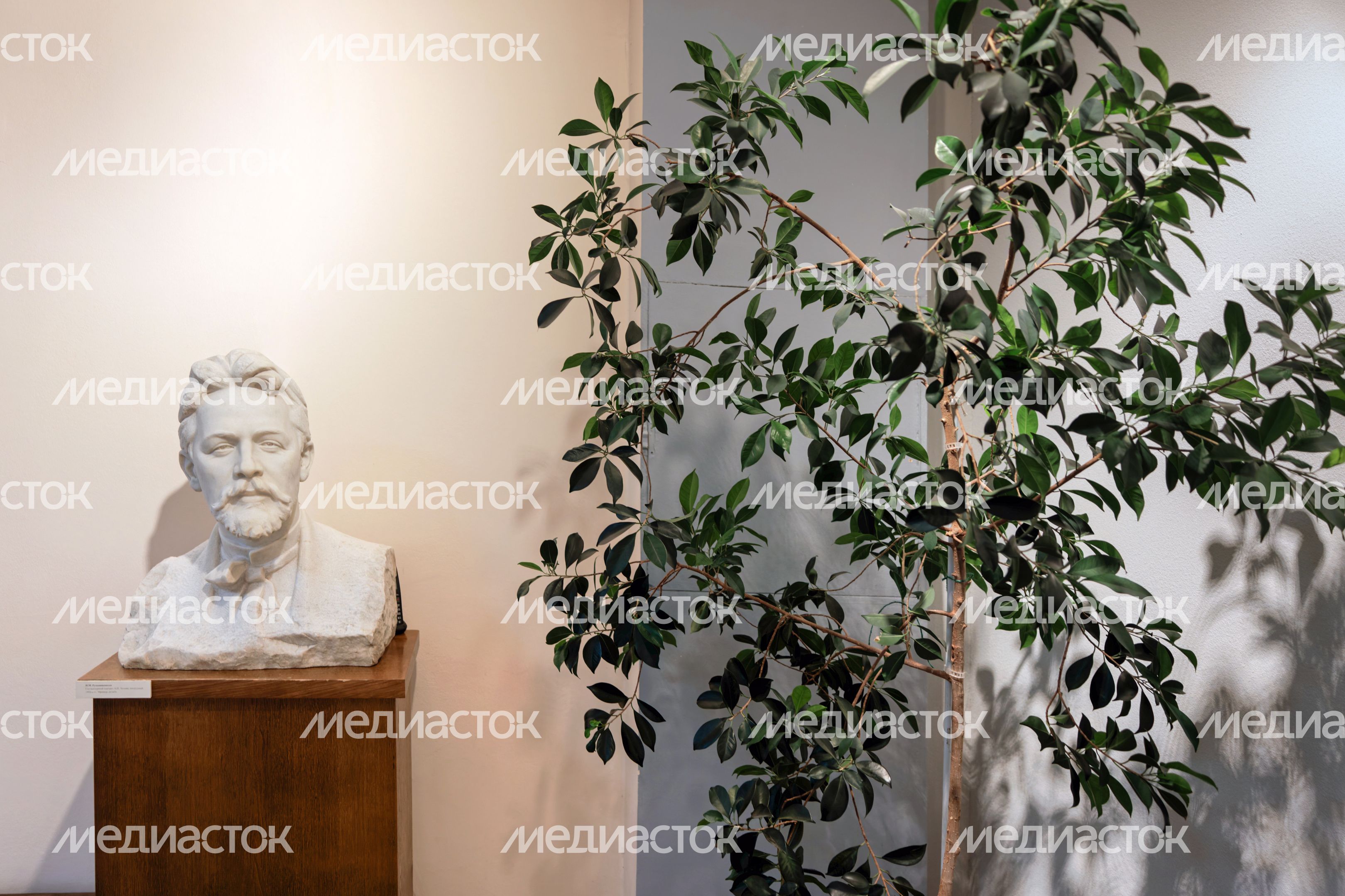 Выставка «Дорогой, многоуважаемый... дом» в музее-заповеднике «Мелихово» Выставка «Дорогой, многоуважаемый... дом» в музее-заповеднике «Мелихово»