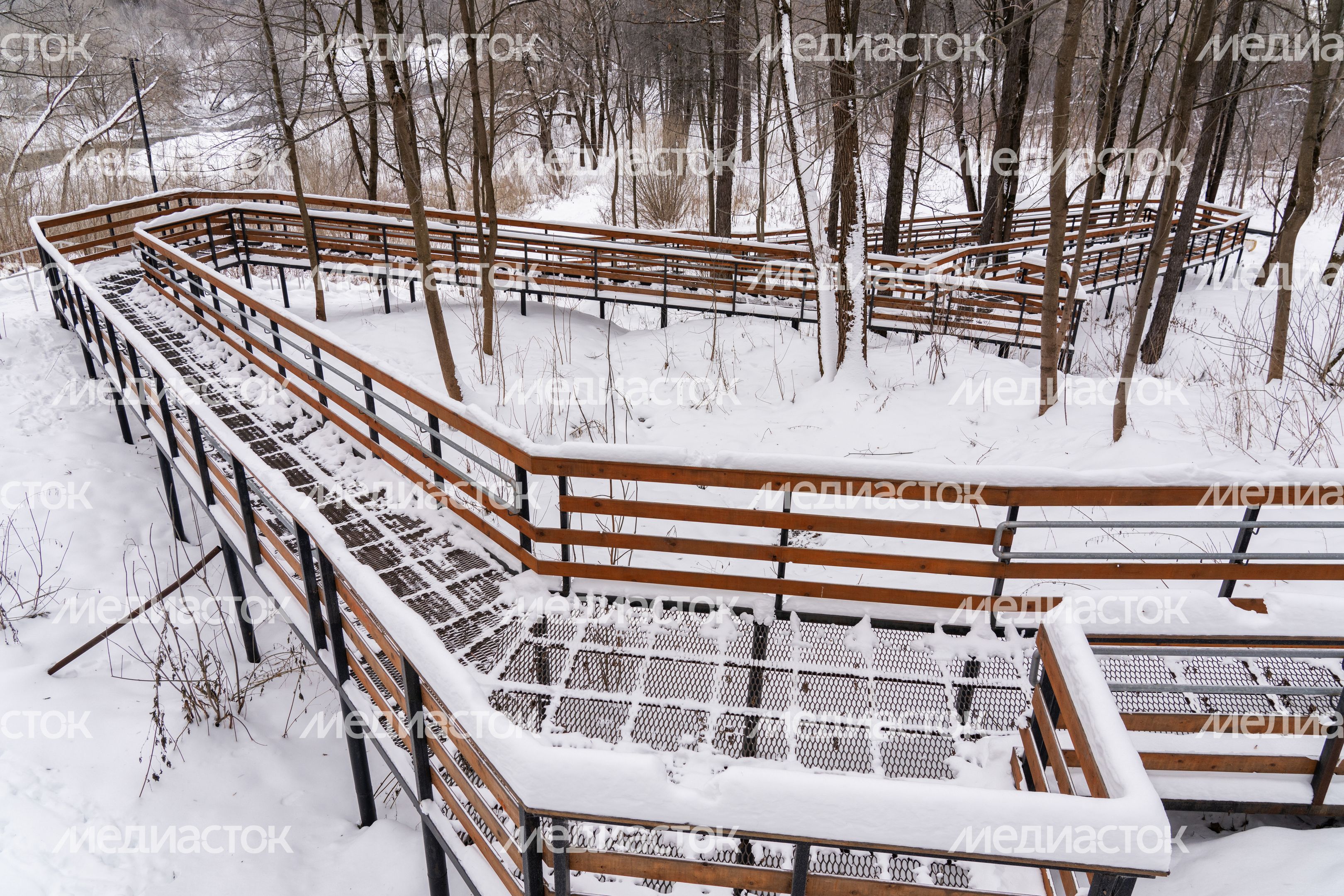 Истринский городской парк зимой Истринский городской парк зимой