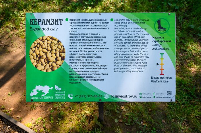 Эколого-просветительский комплекс "Дендрарий" в Мытищах