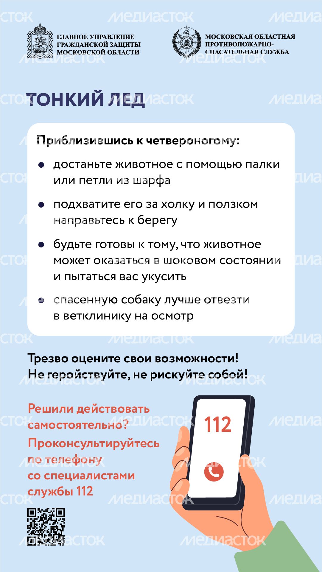 помощь усатым - вертикаль - 06