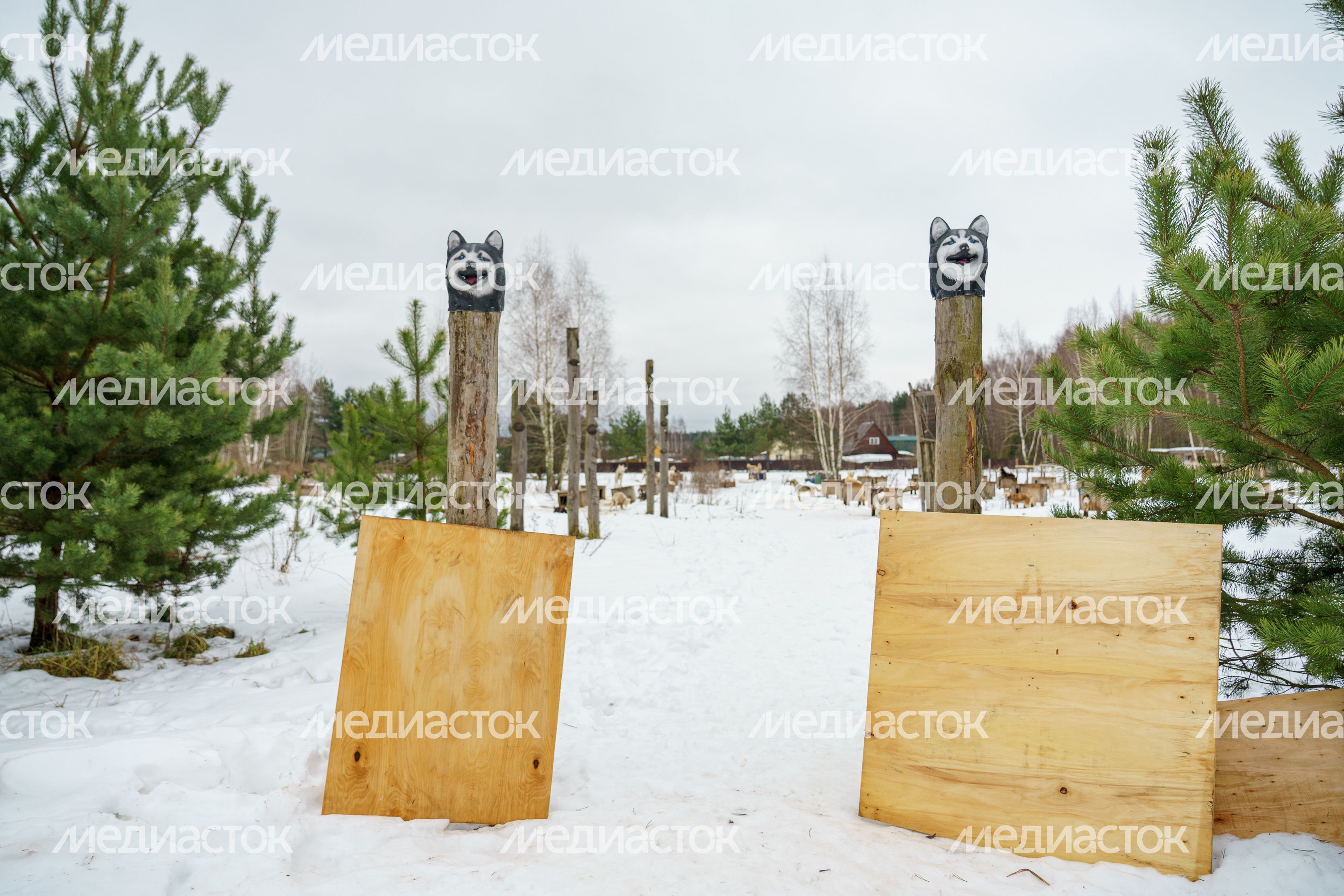 Чукотское стойбище "Хаски парк" в Раменском округе зимой