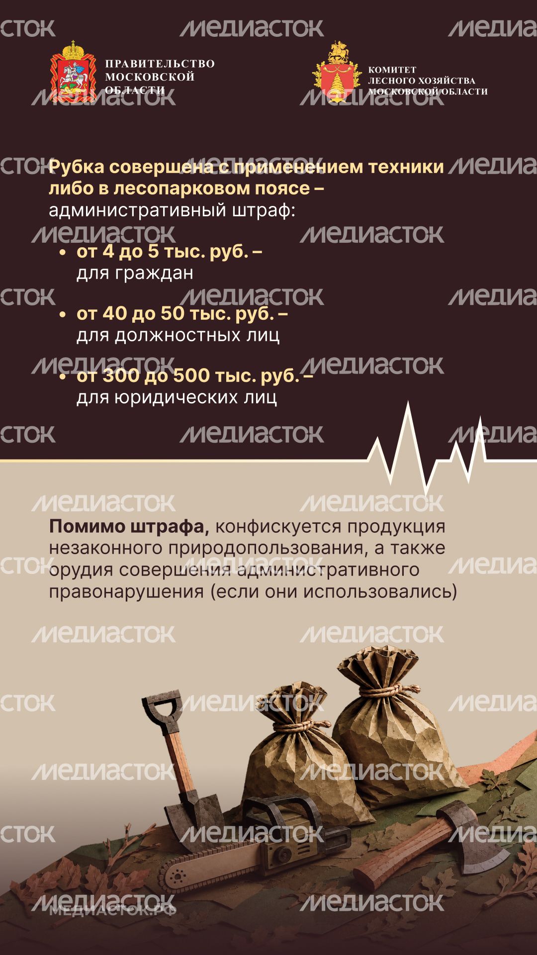 Незаконная рубка вертикаль 04