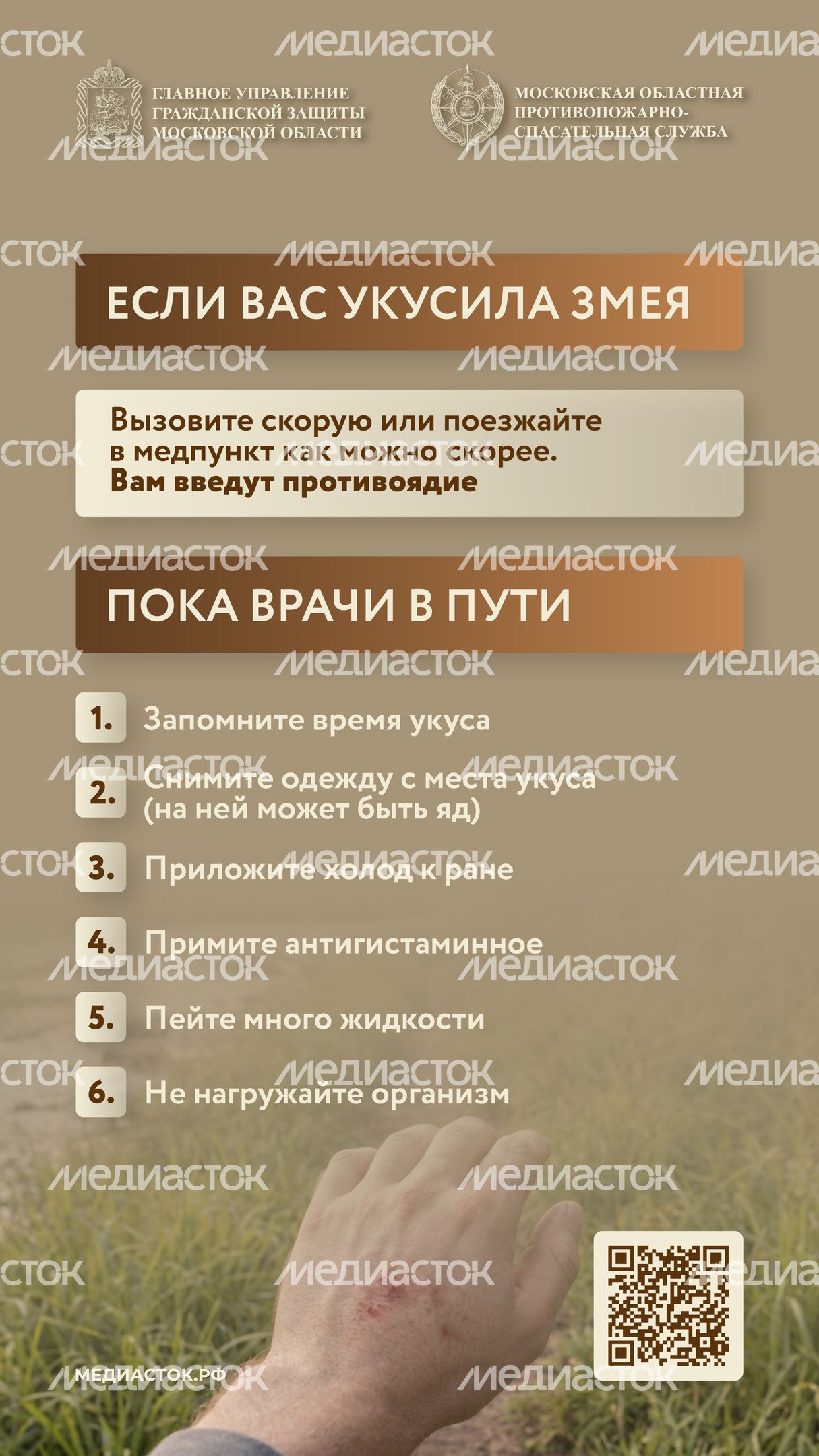 Гадюки вертикаль 07 Гадюки вертикаль 07
