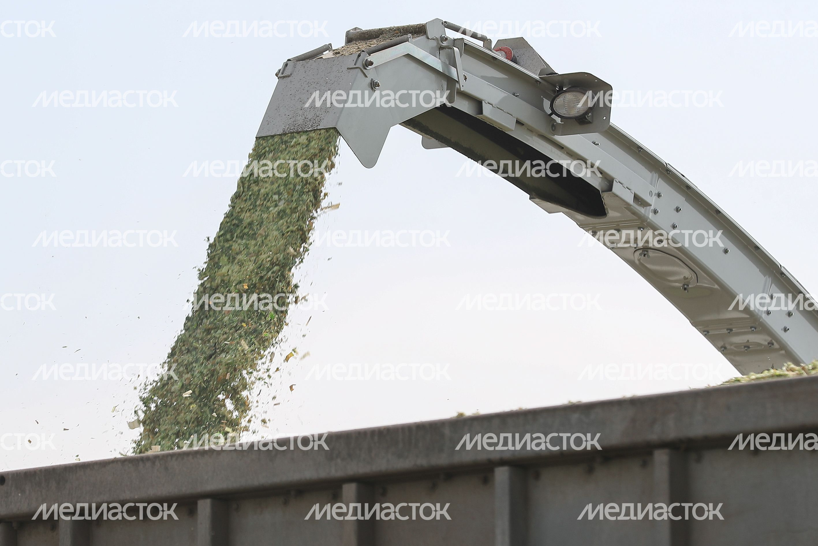 Рабочий визит Андрея Воробьёва в городской округ Серебряные Пруды