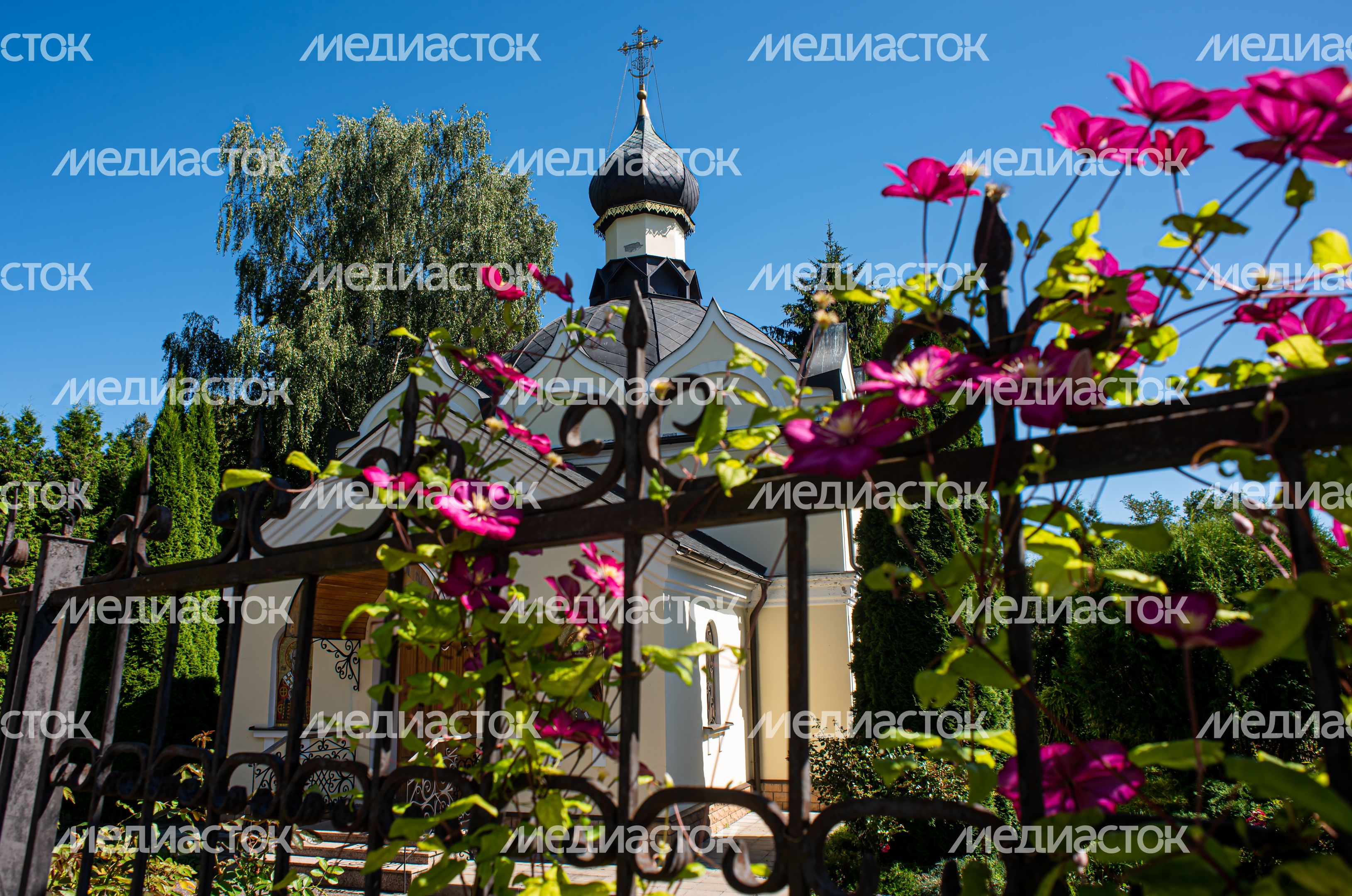 Собор Успения Пресвятой Богородицы в Звенигороде