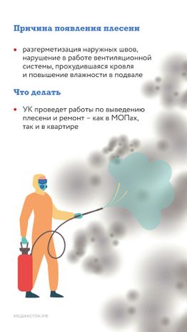 Плесень вертикаль 03